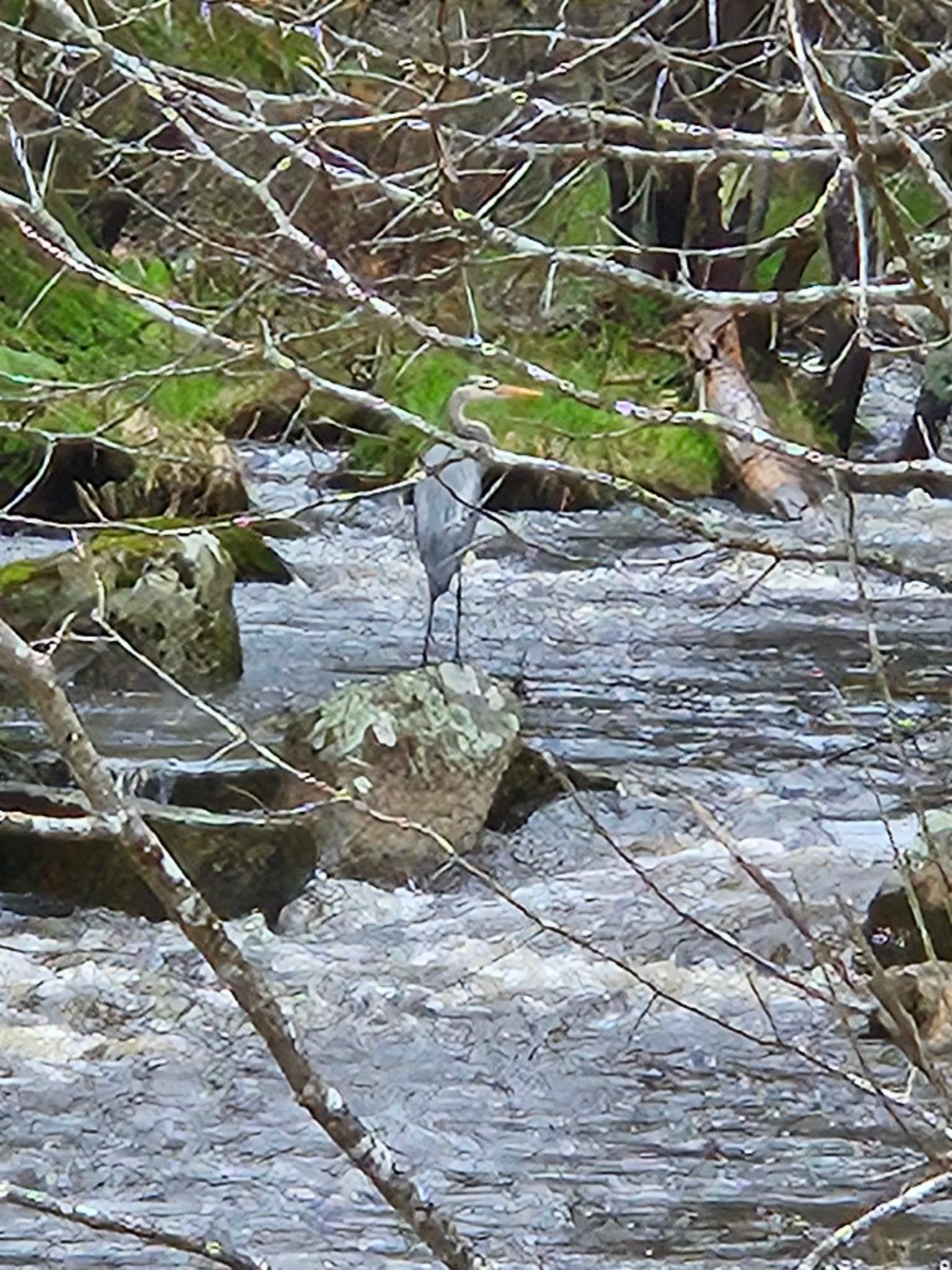 The Hideaway at Mill River