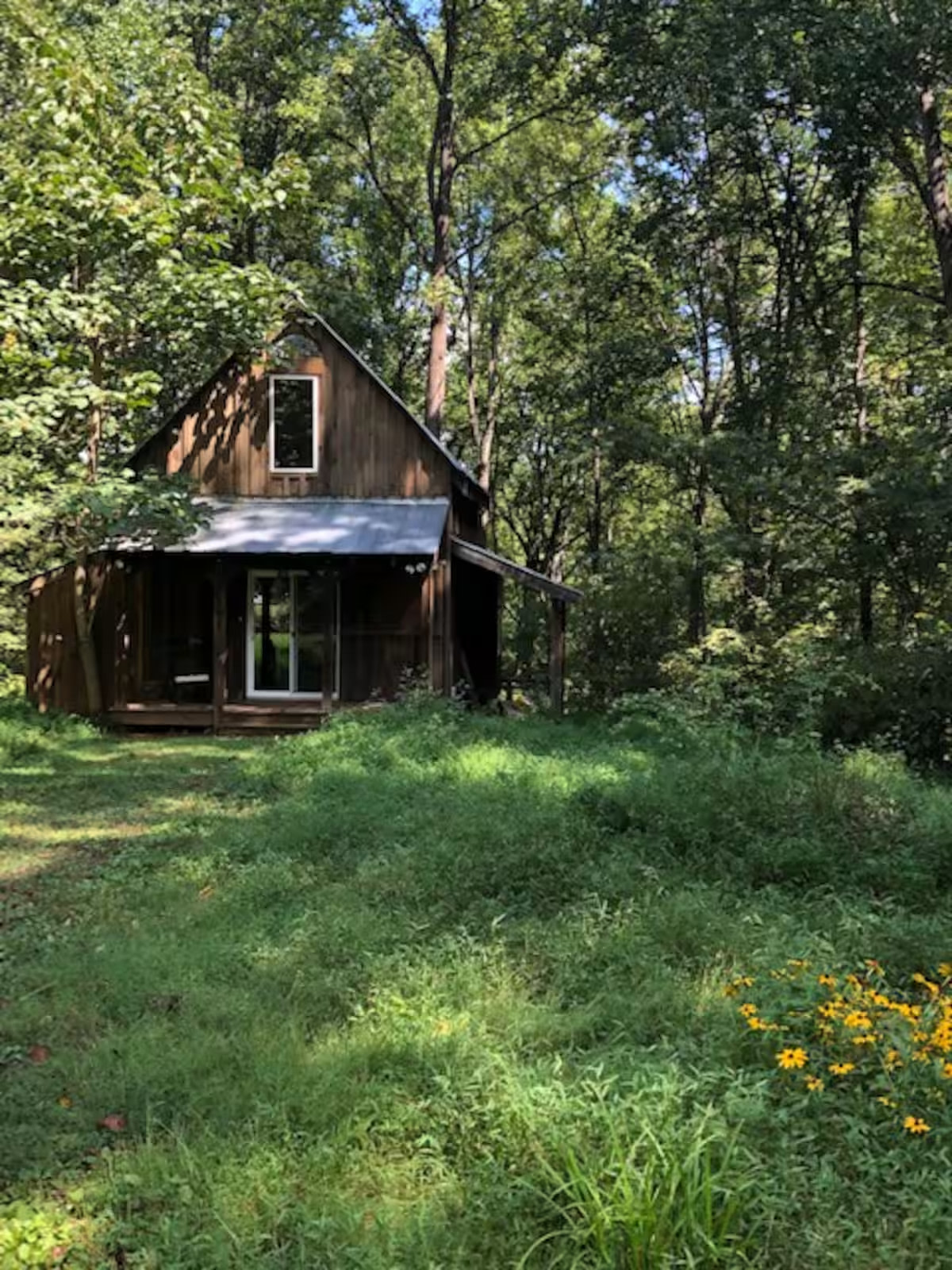 Forest Cabin