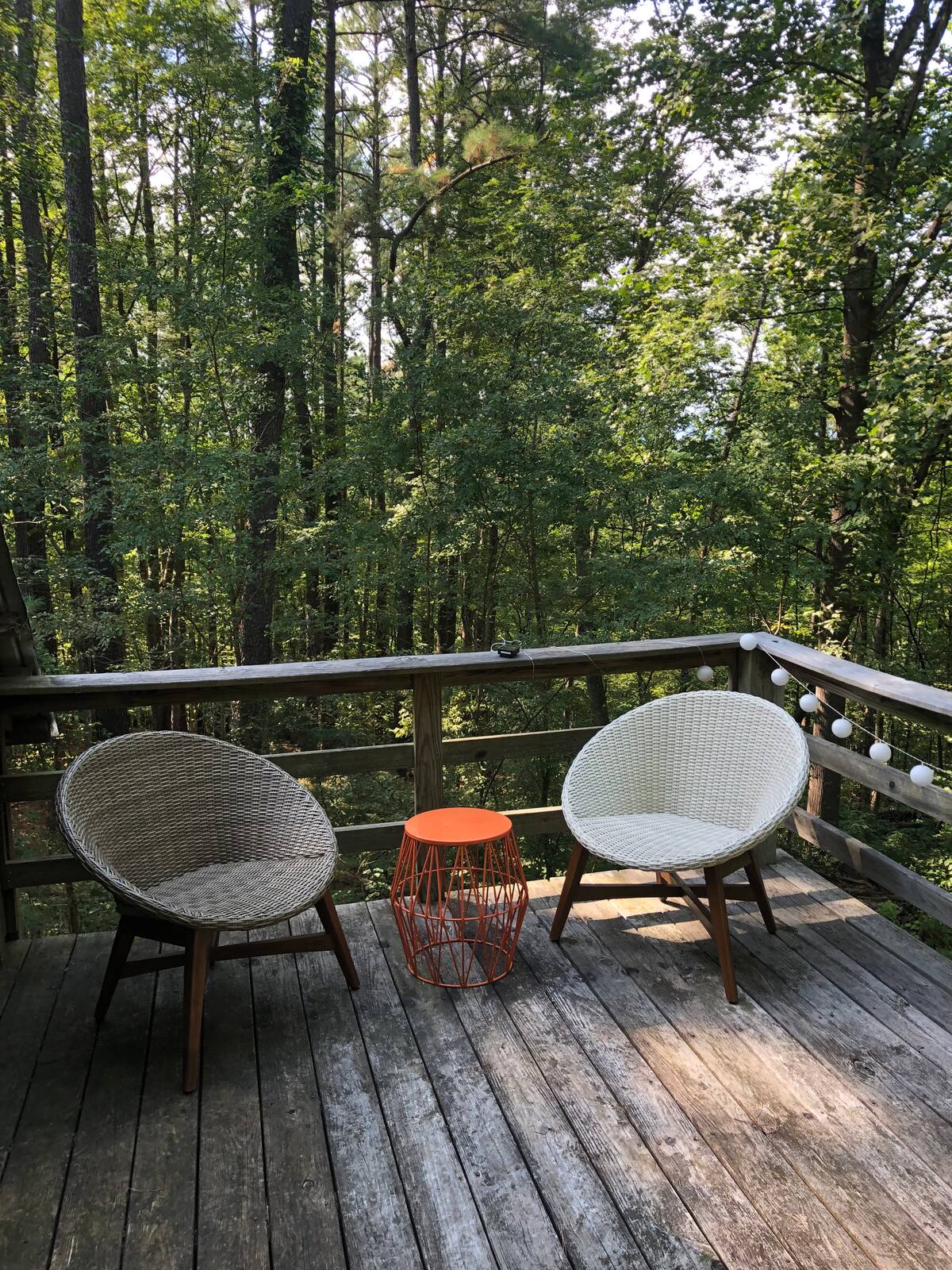 Forest Cabin