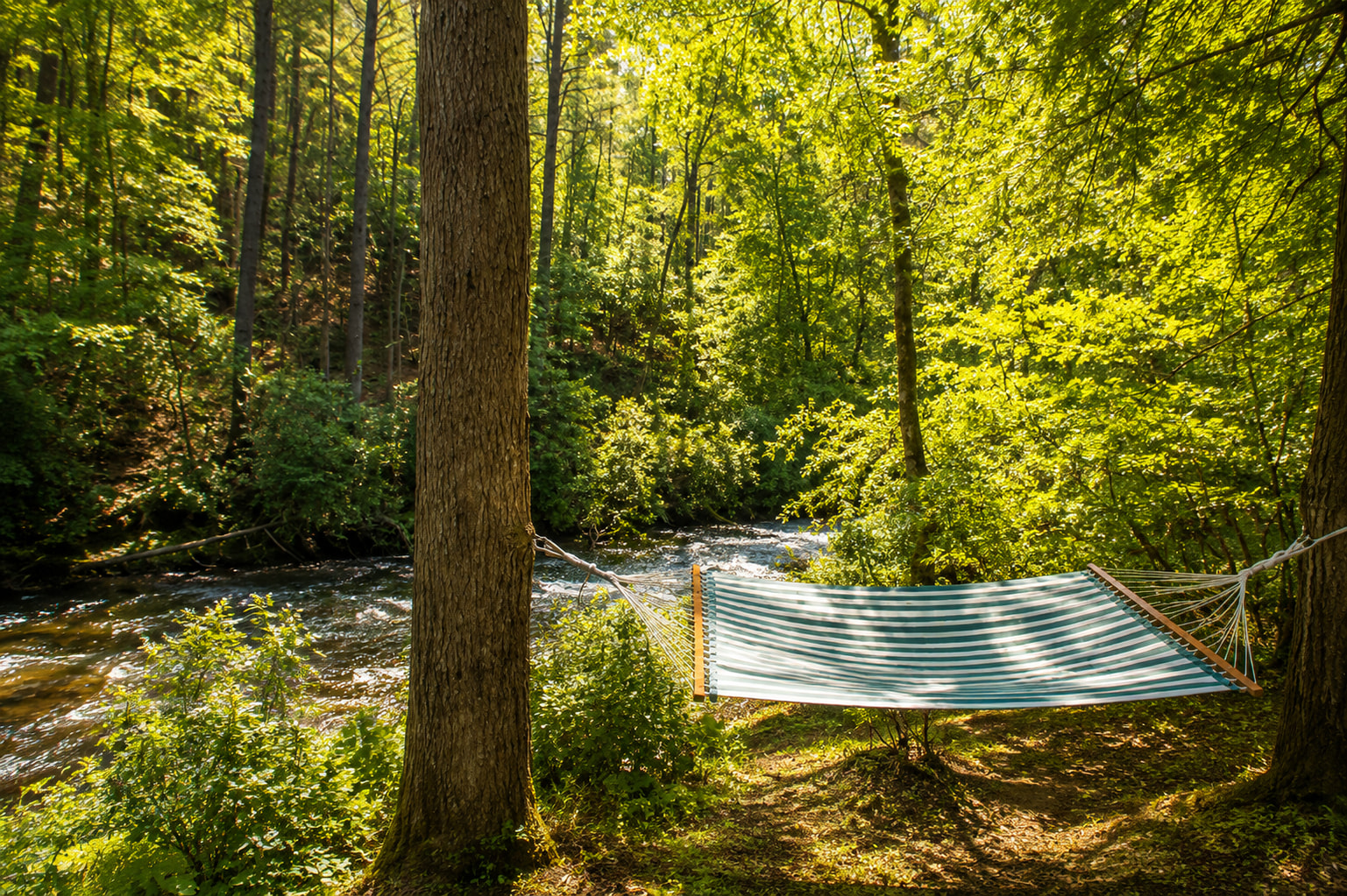 Find your favorite spot in the hammock and let the sounds of the creek melt your stress away. Nature has never felt so relaxing.