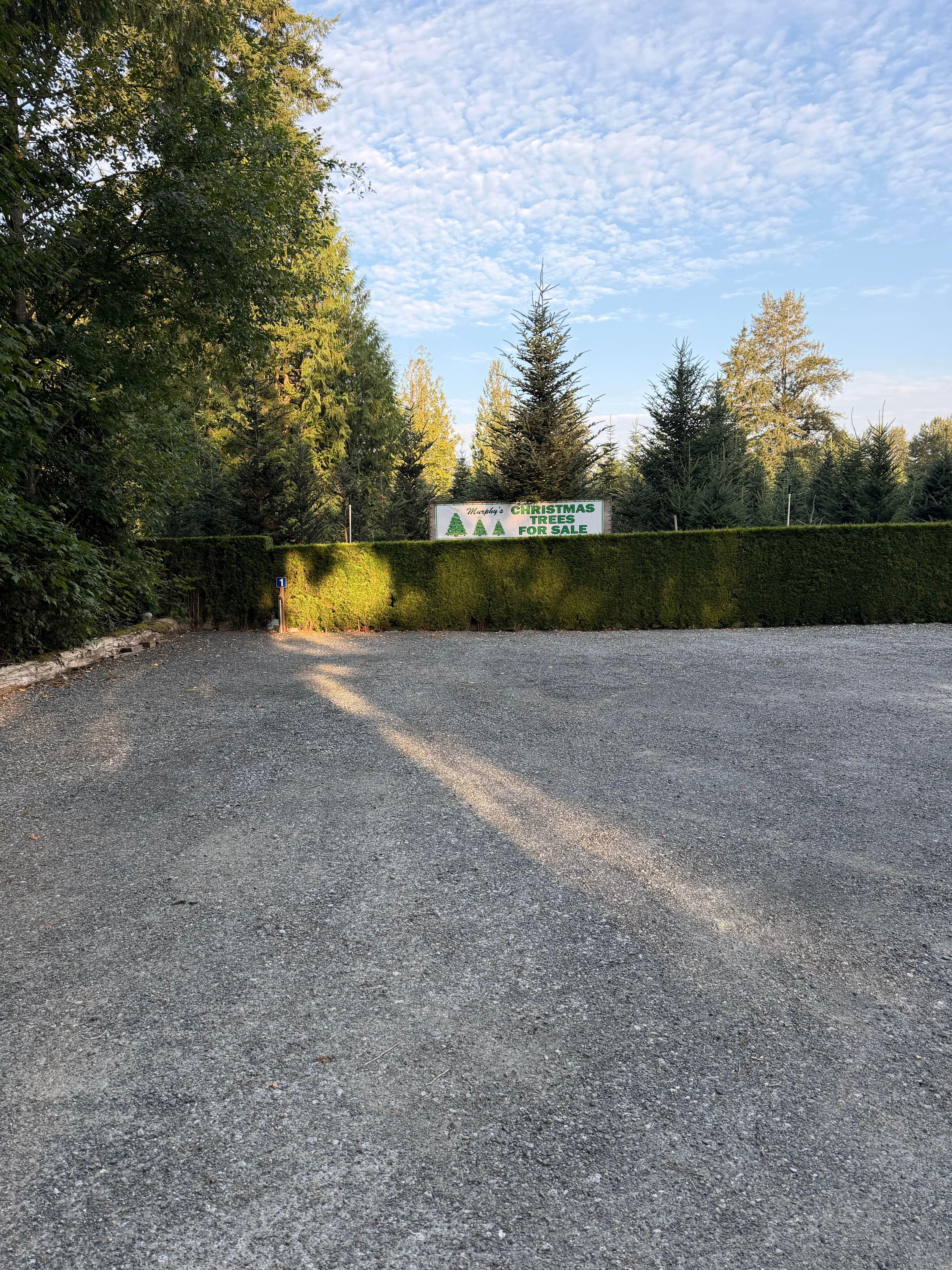 Tree Farm Retreat