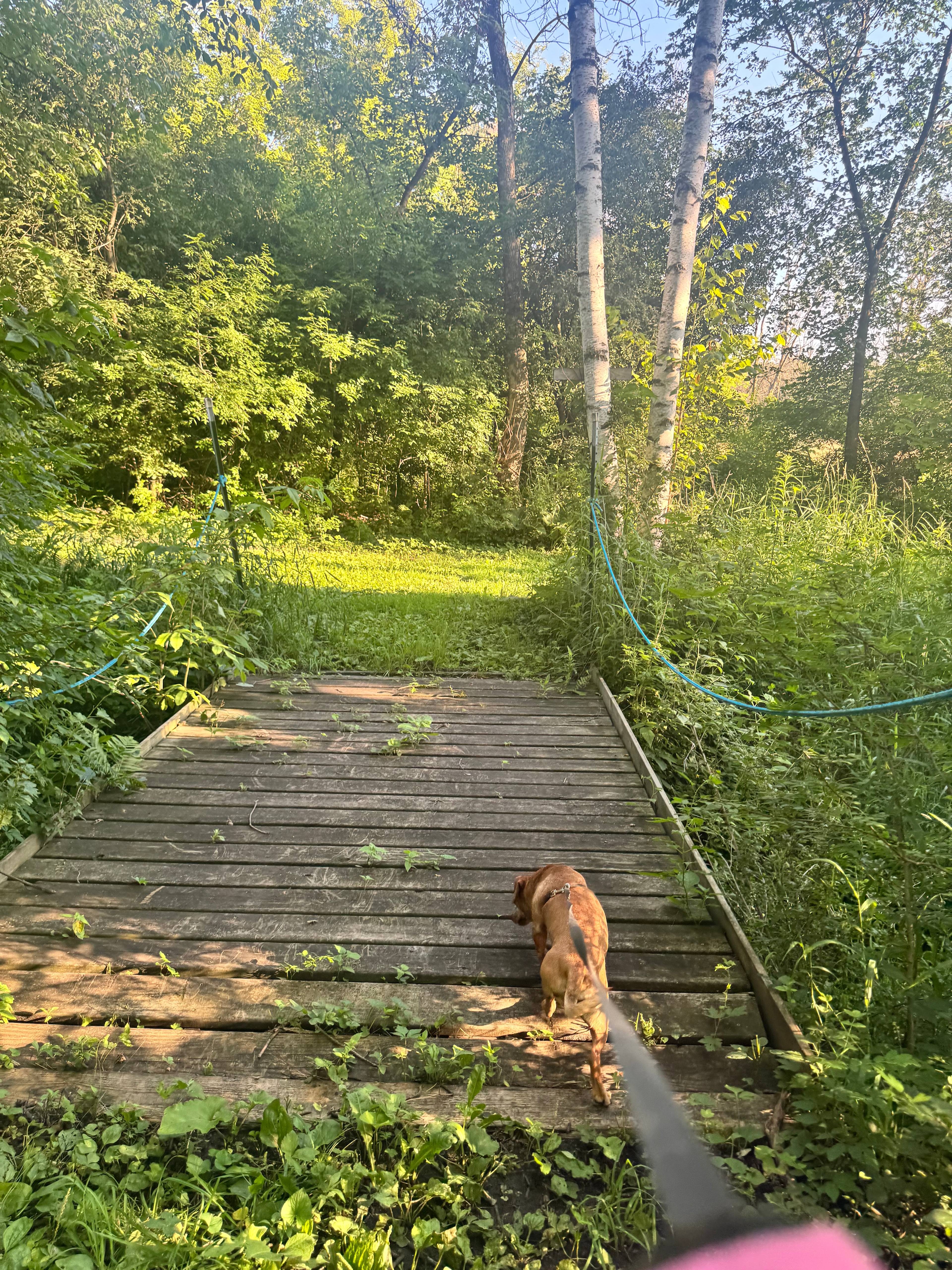 Exploring the grounds