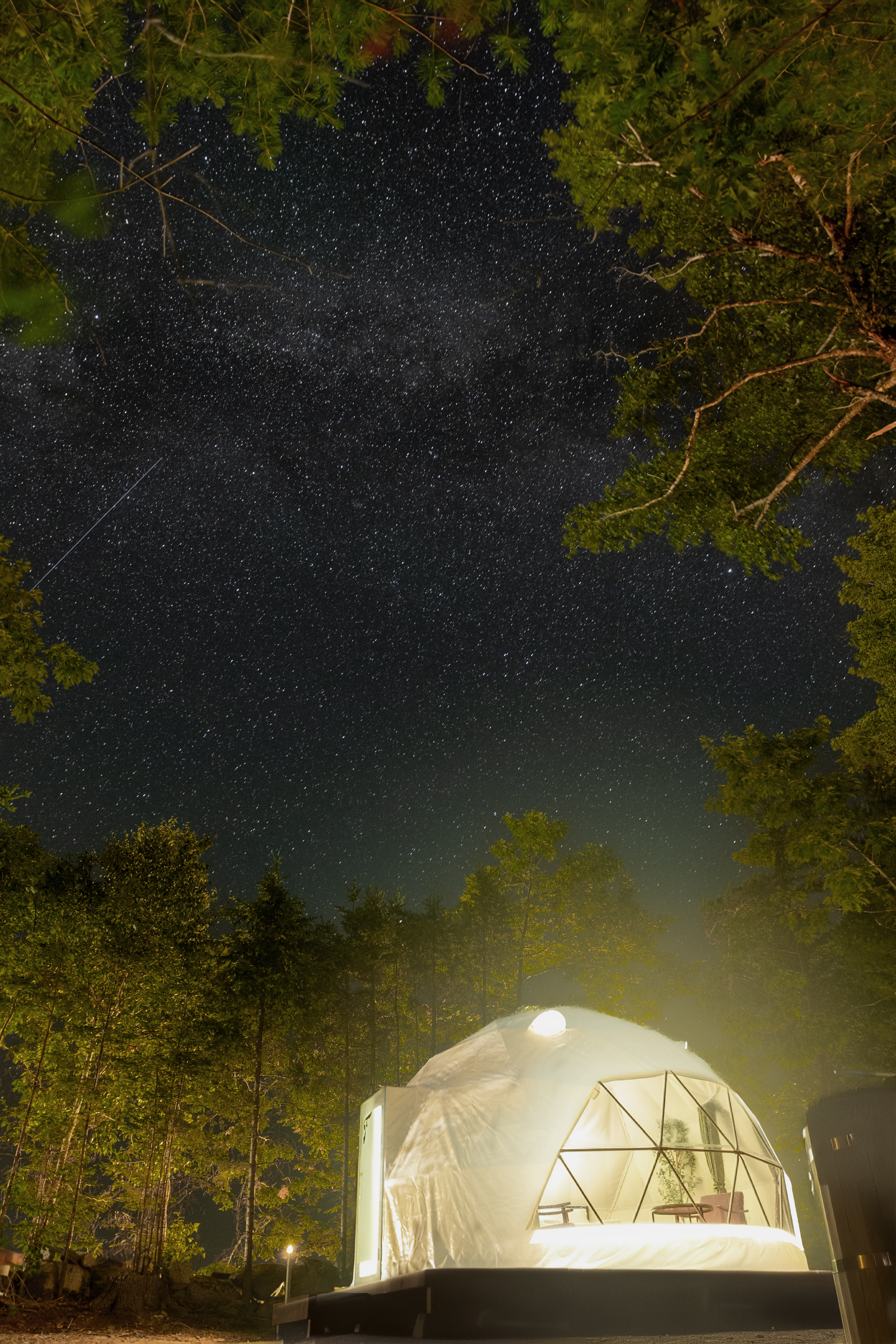 Great Star Gazing
