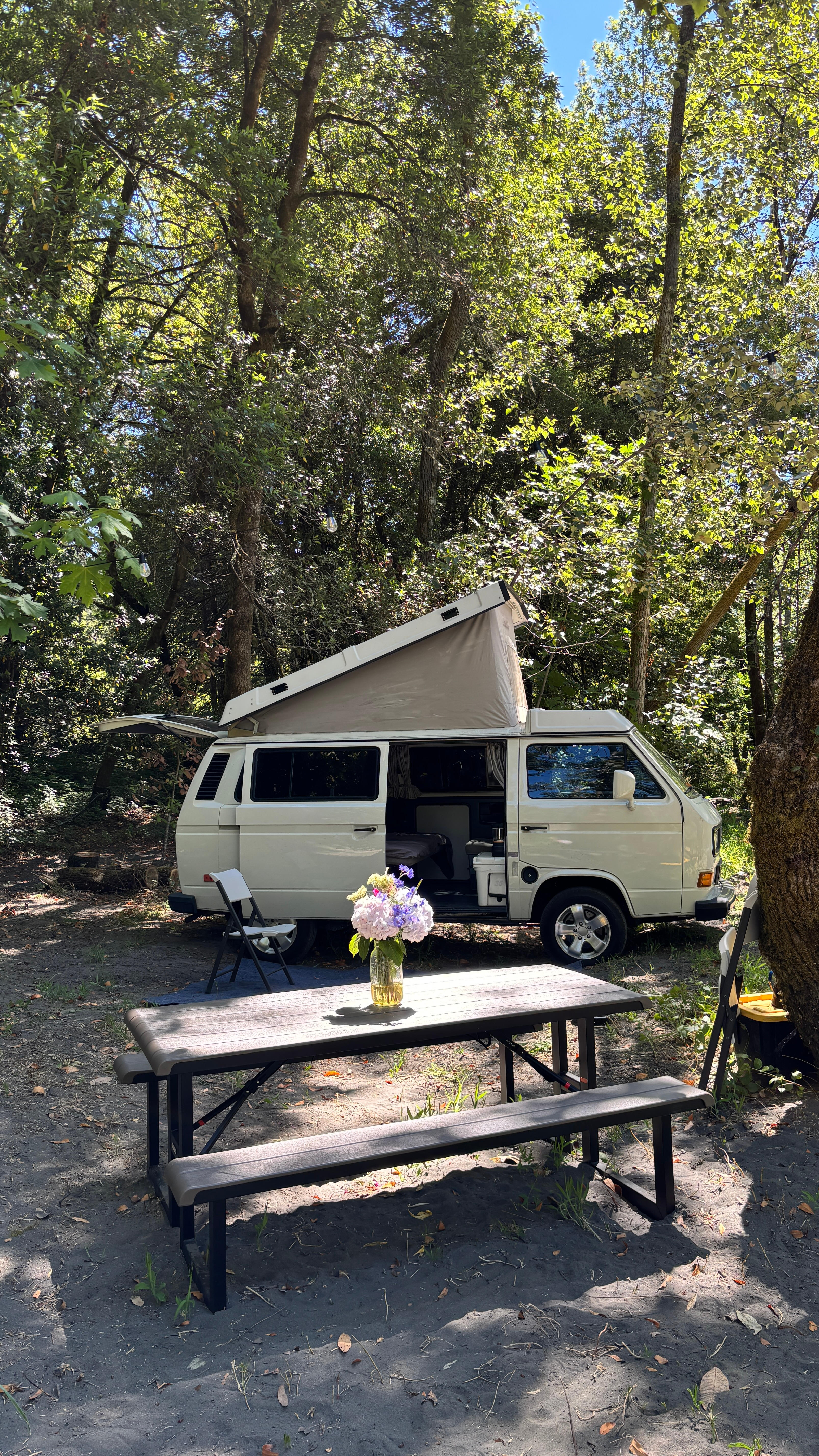 Awesome Westfalia set up