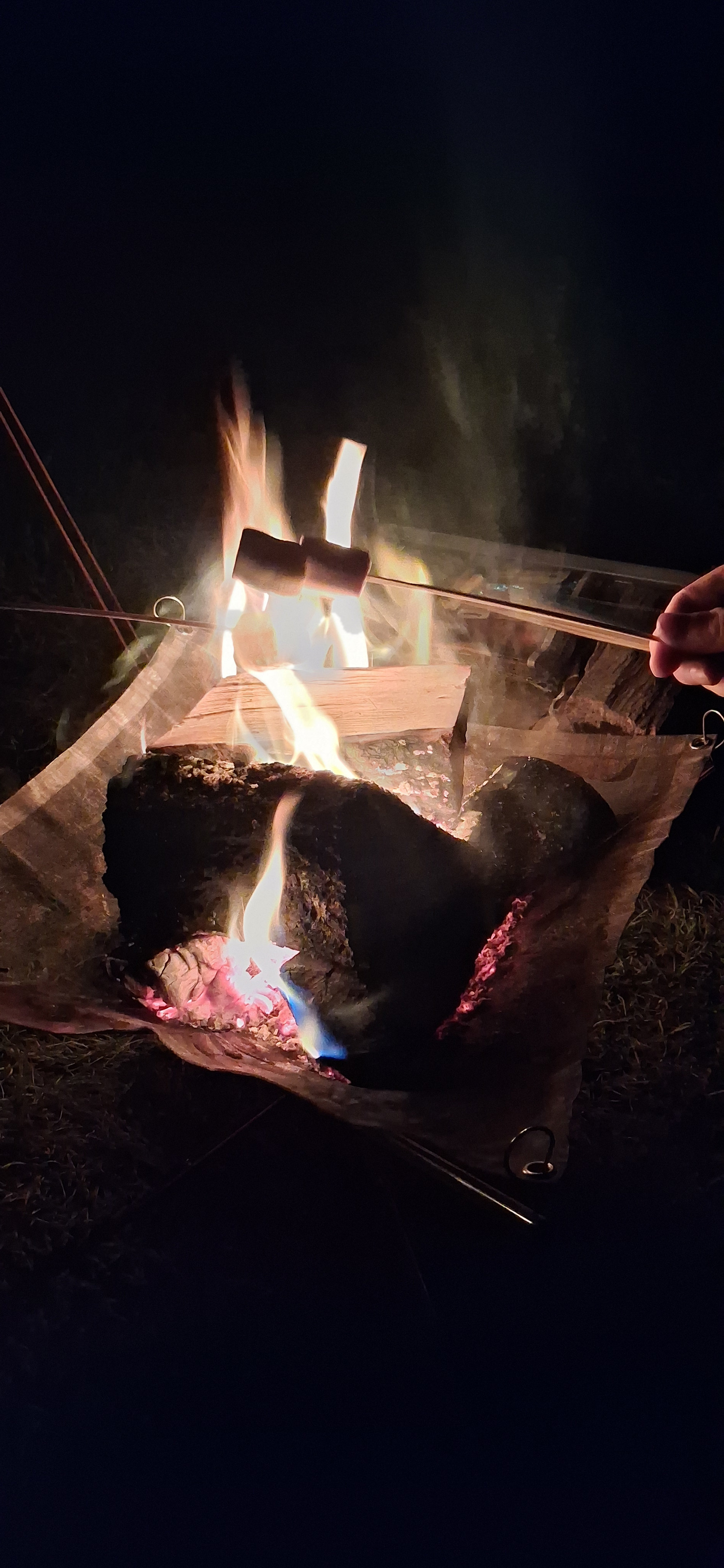Silver View Campsite