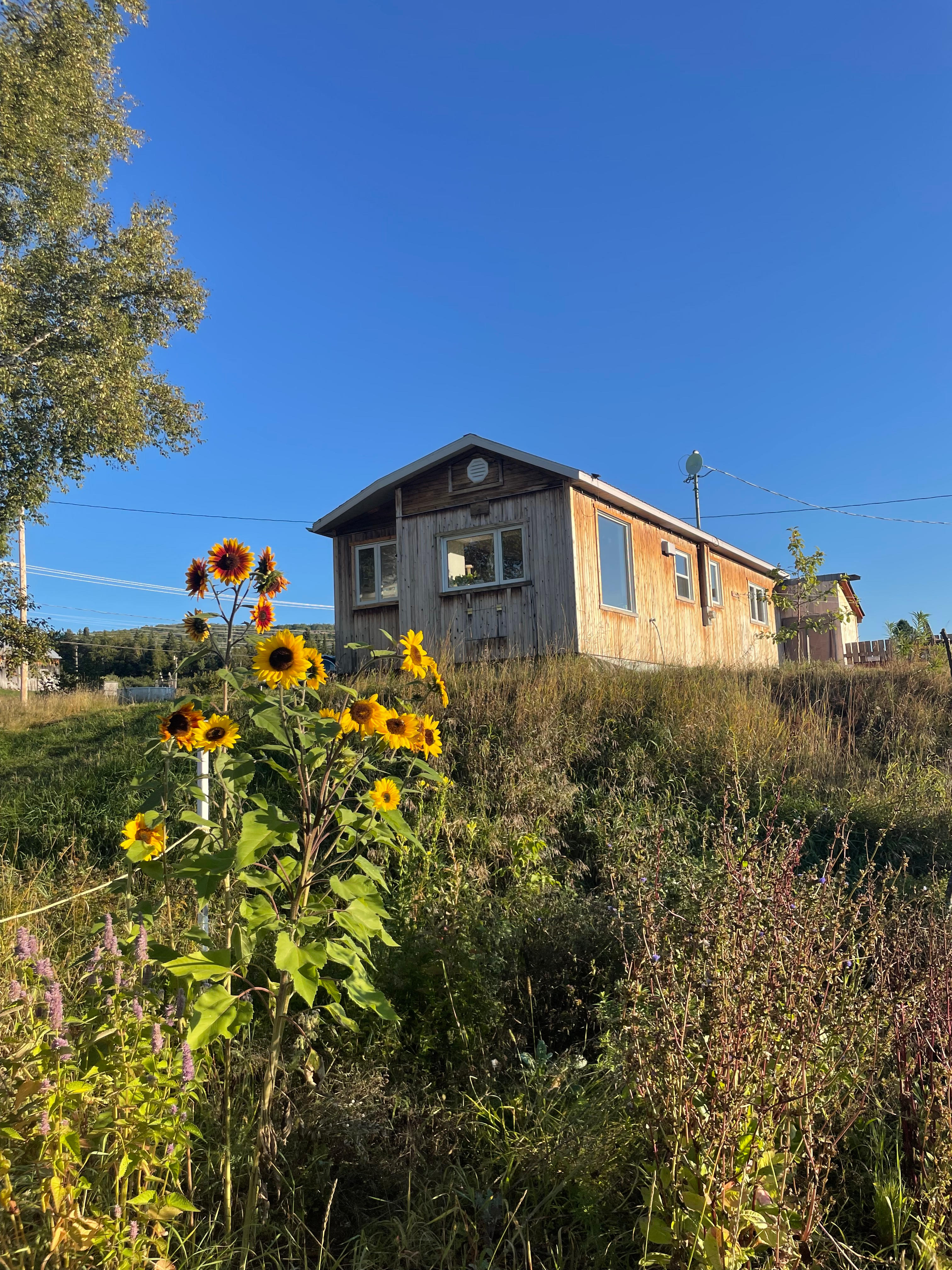 Cabane lumineuse et confortable