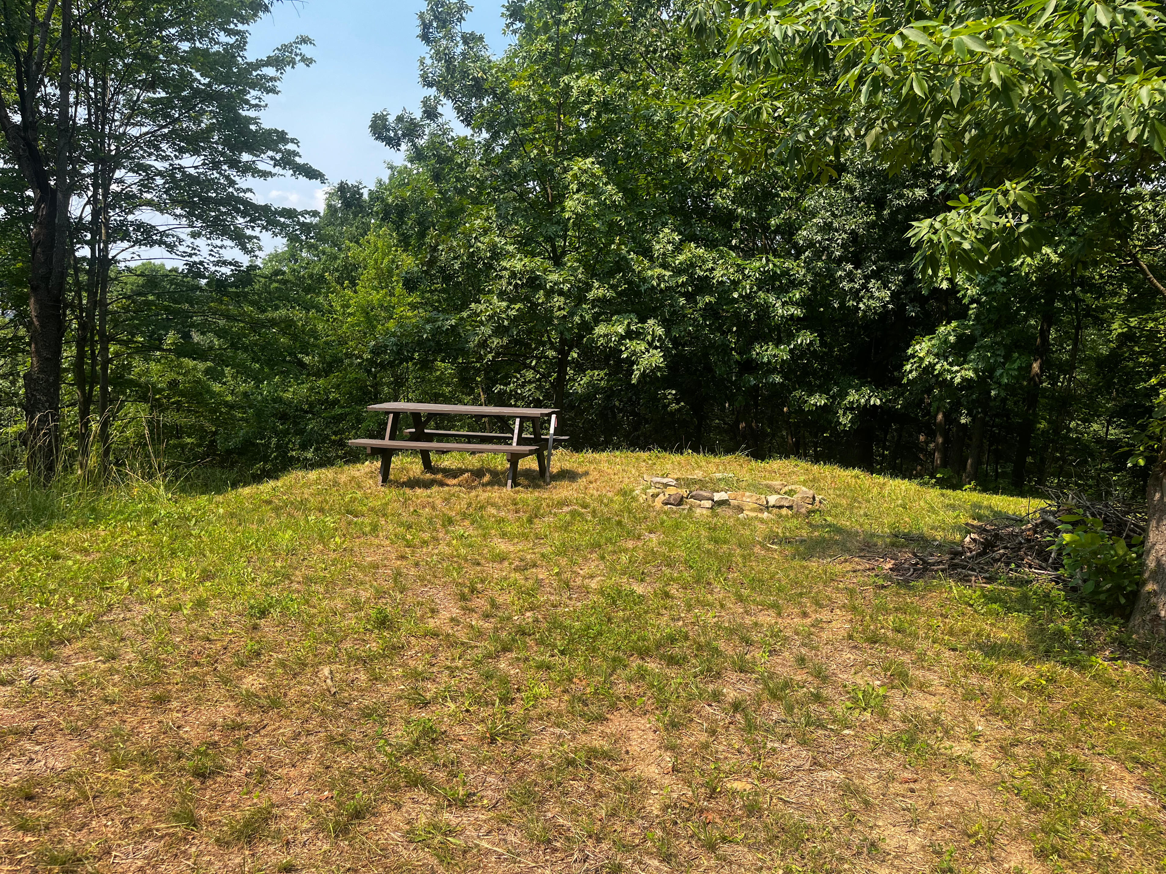 Georgetown Vineyards Campsites