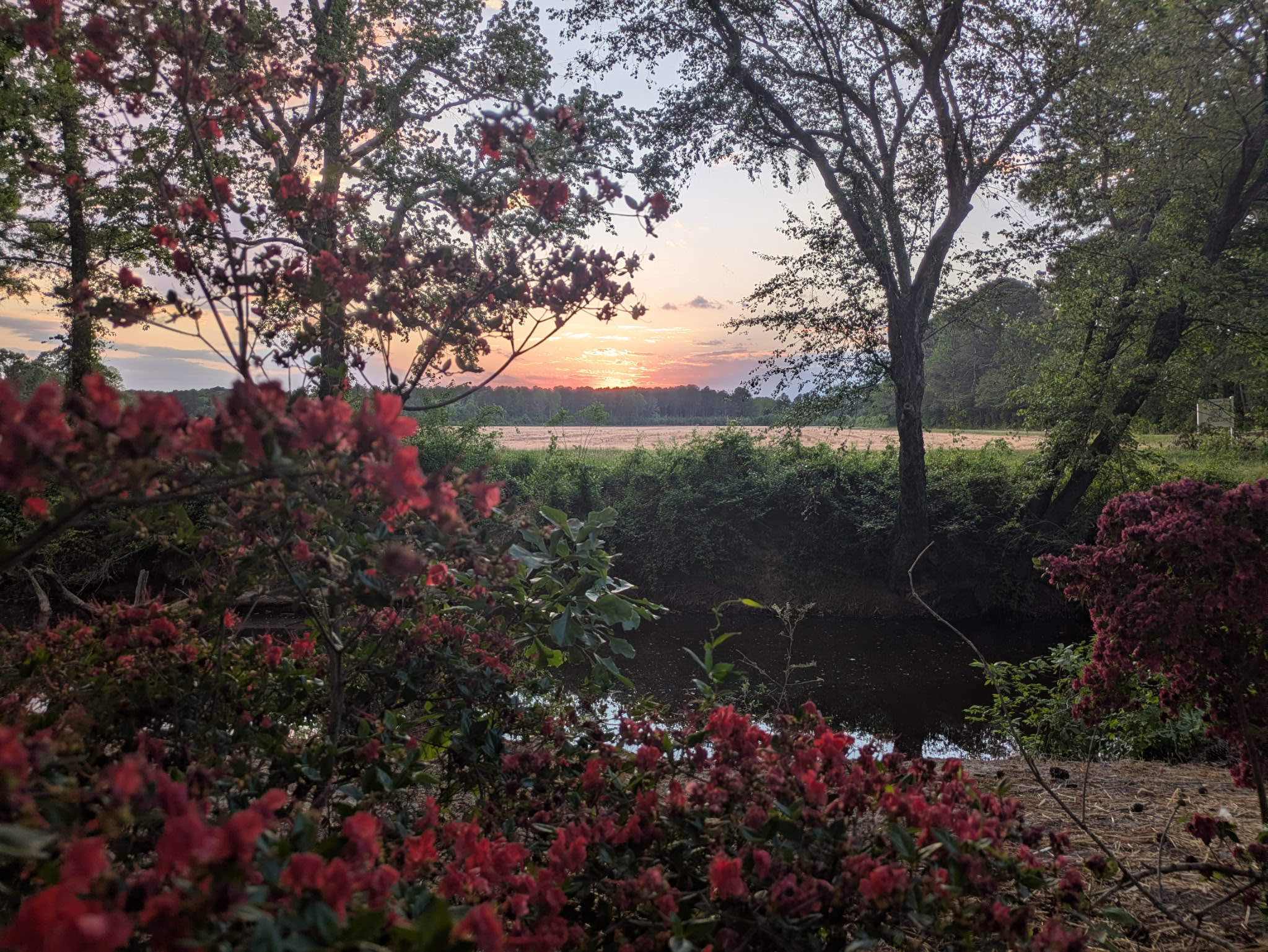 Little River Sunset Retreat