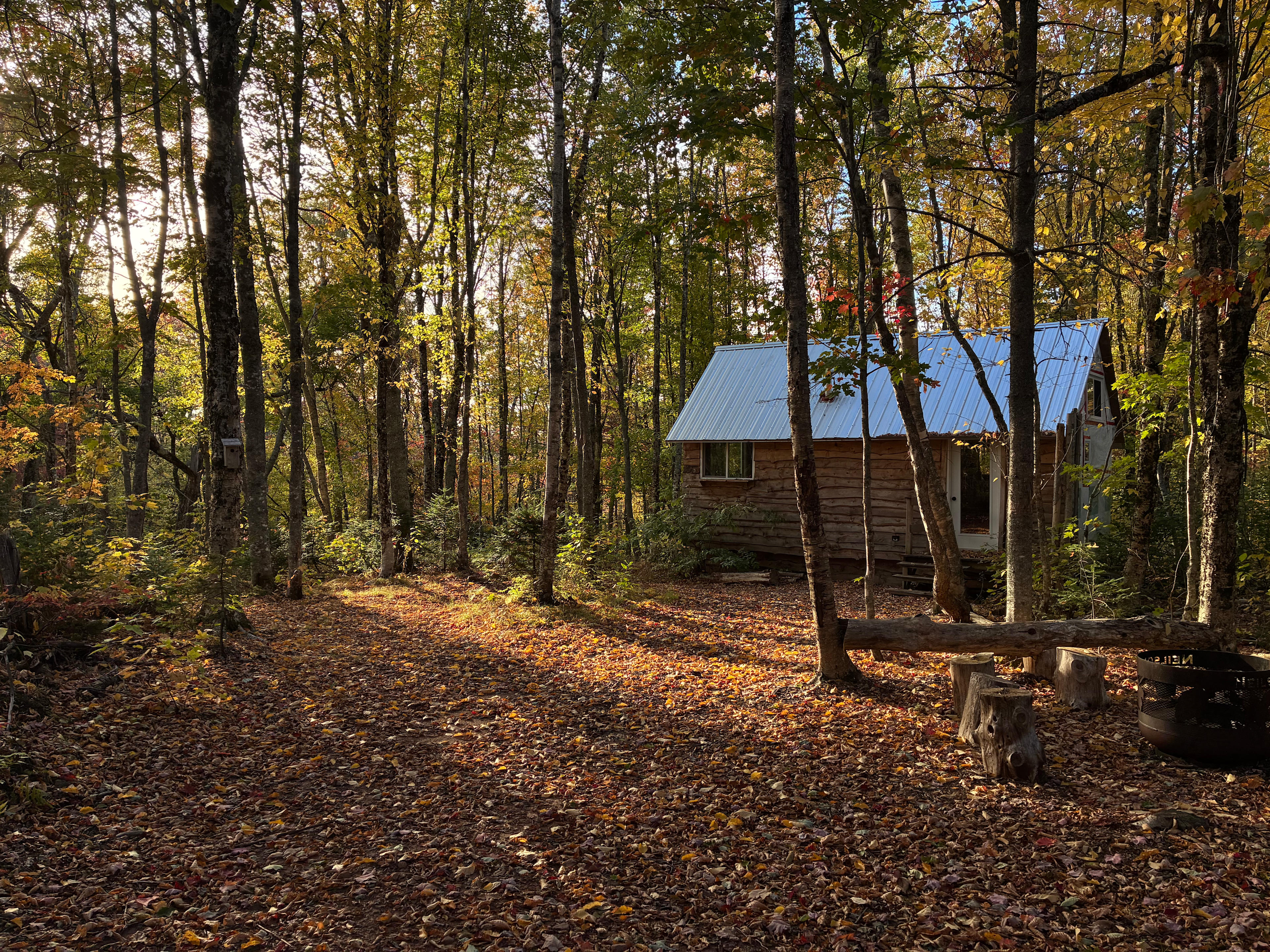 Spruce Acres Cabin