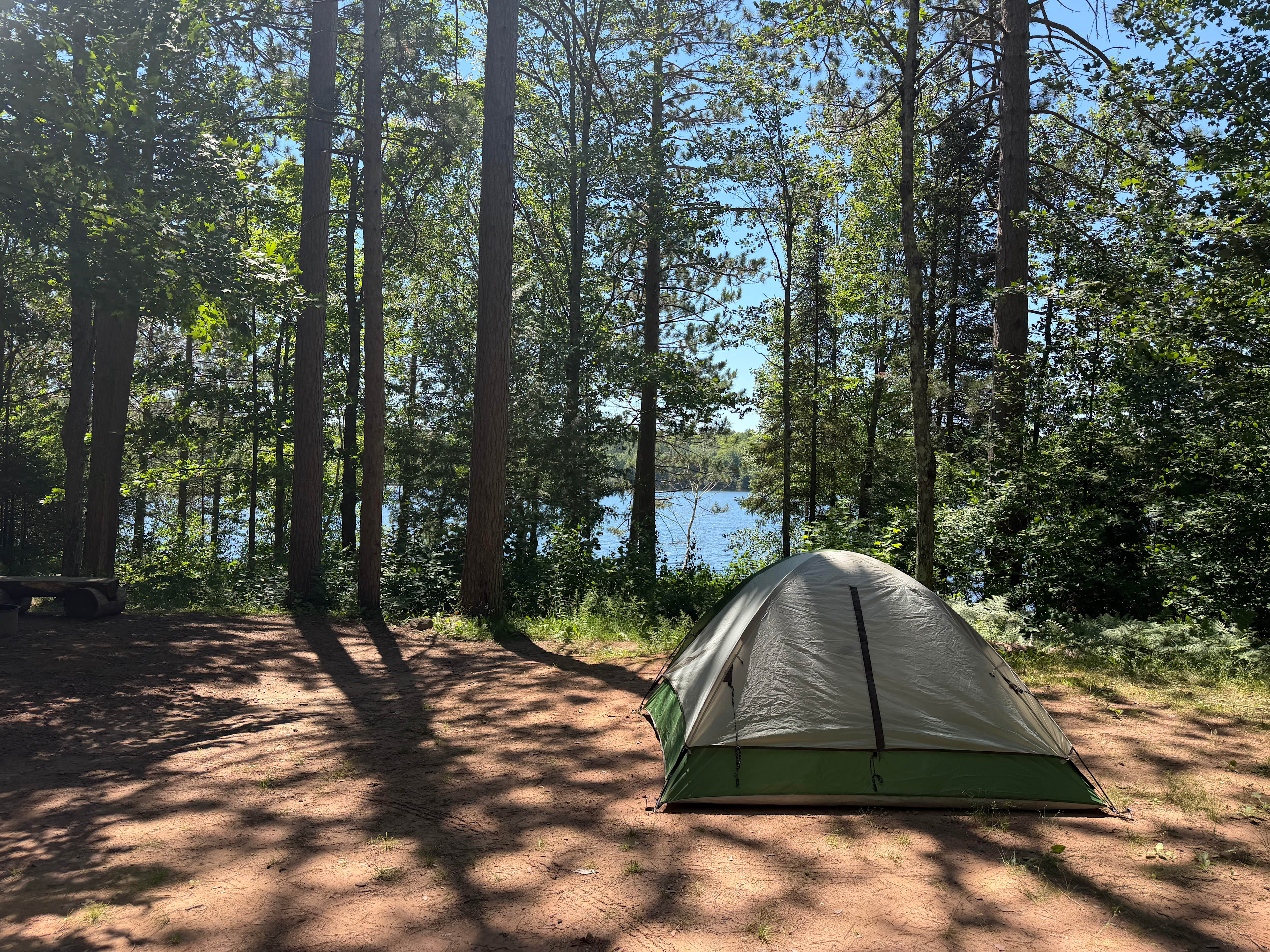 Chequamegon National Forest