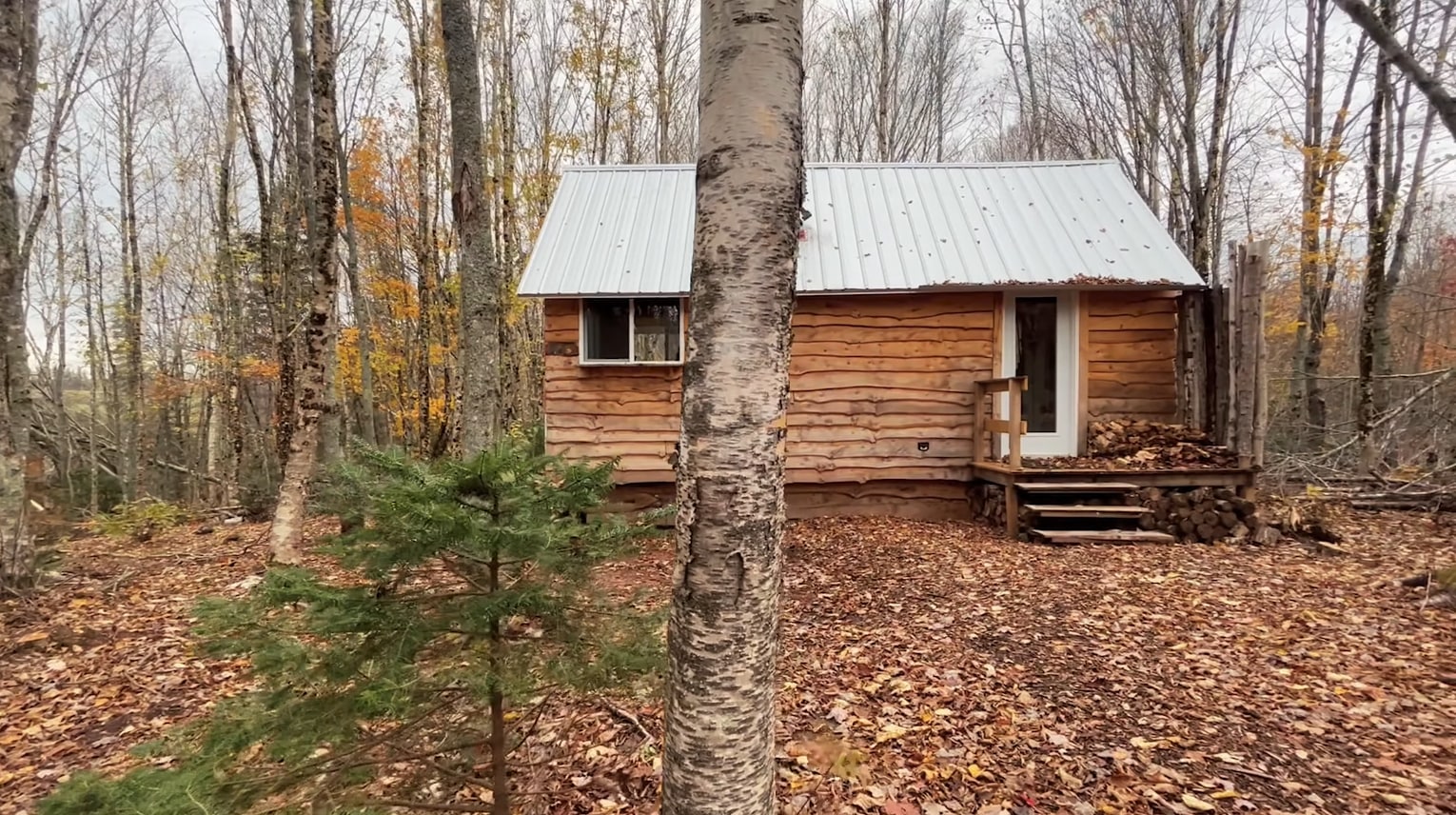 Spruce Acres Cabin