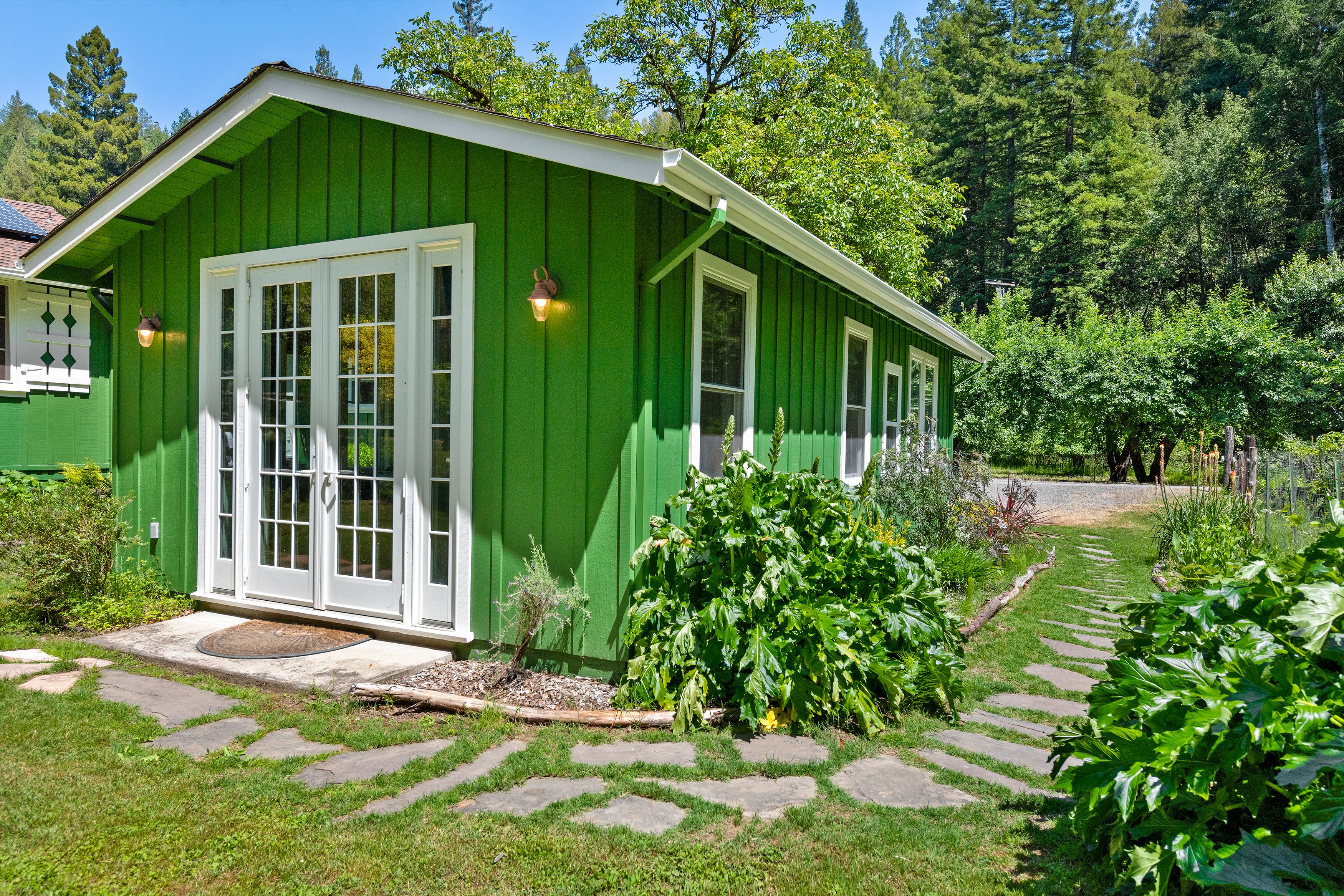 Forest View Ranch