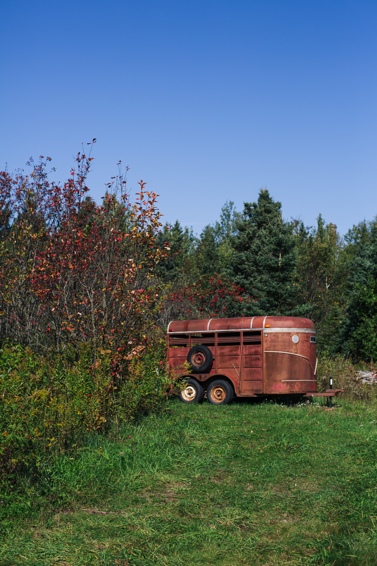 Ghost House Farm