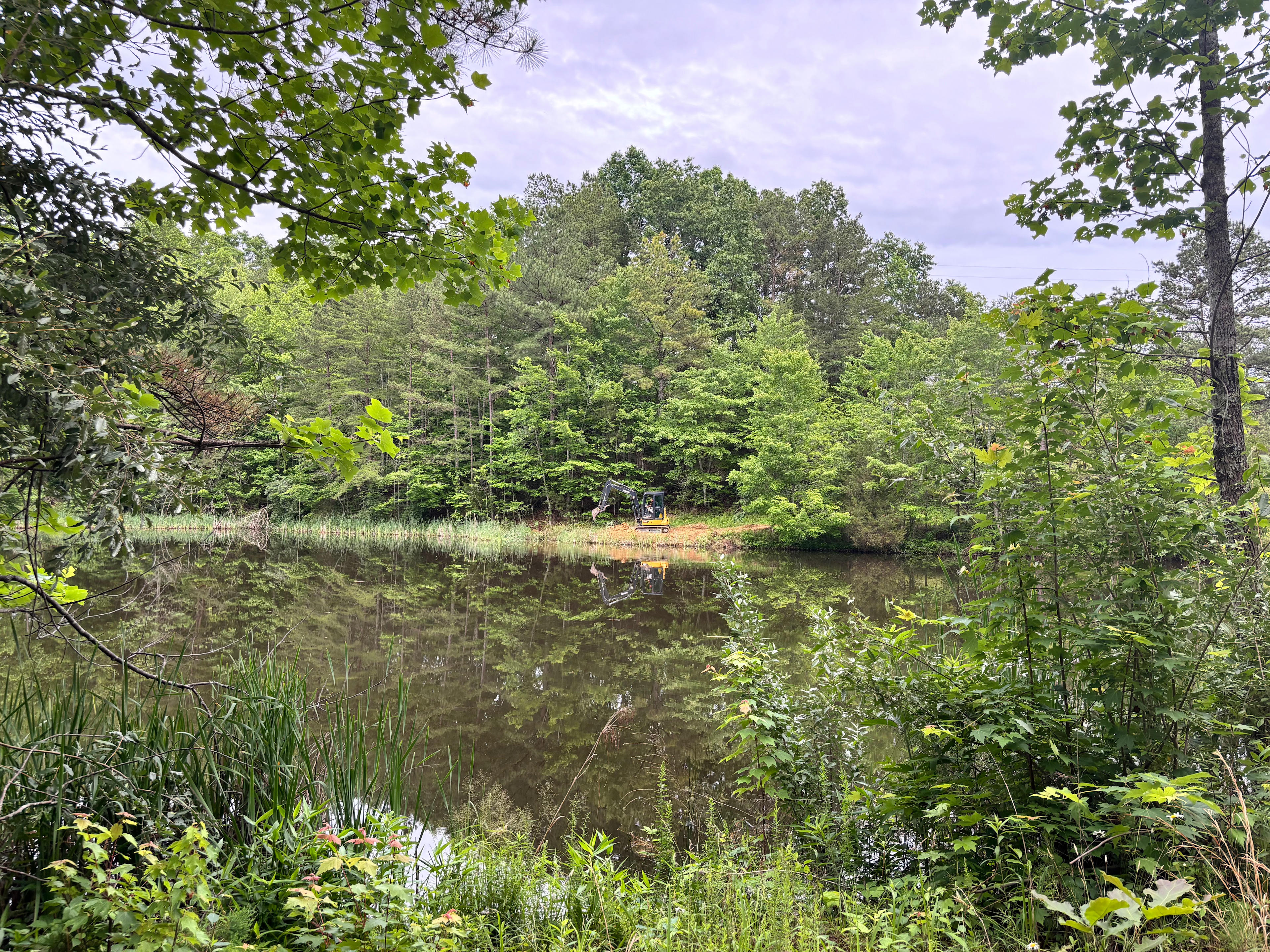 Hillbilly Hippie Haven