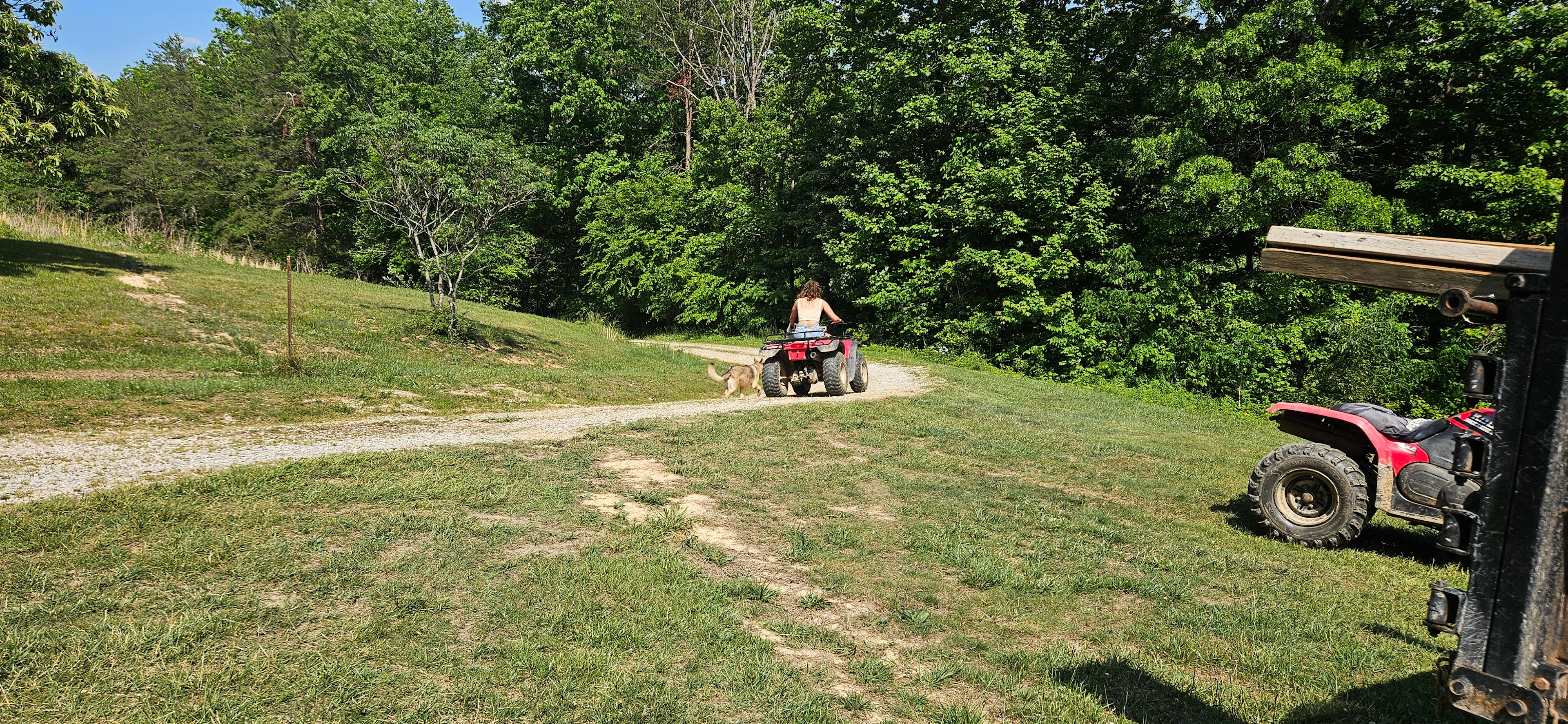 Hillbilly Hippie Haven