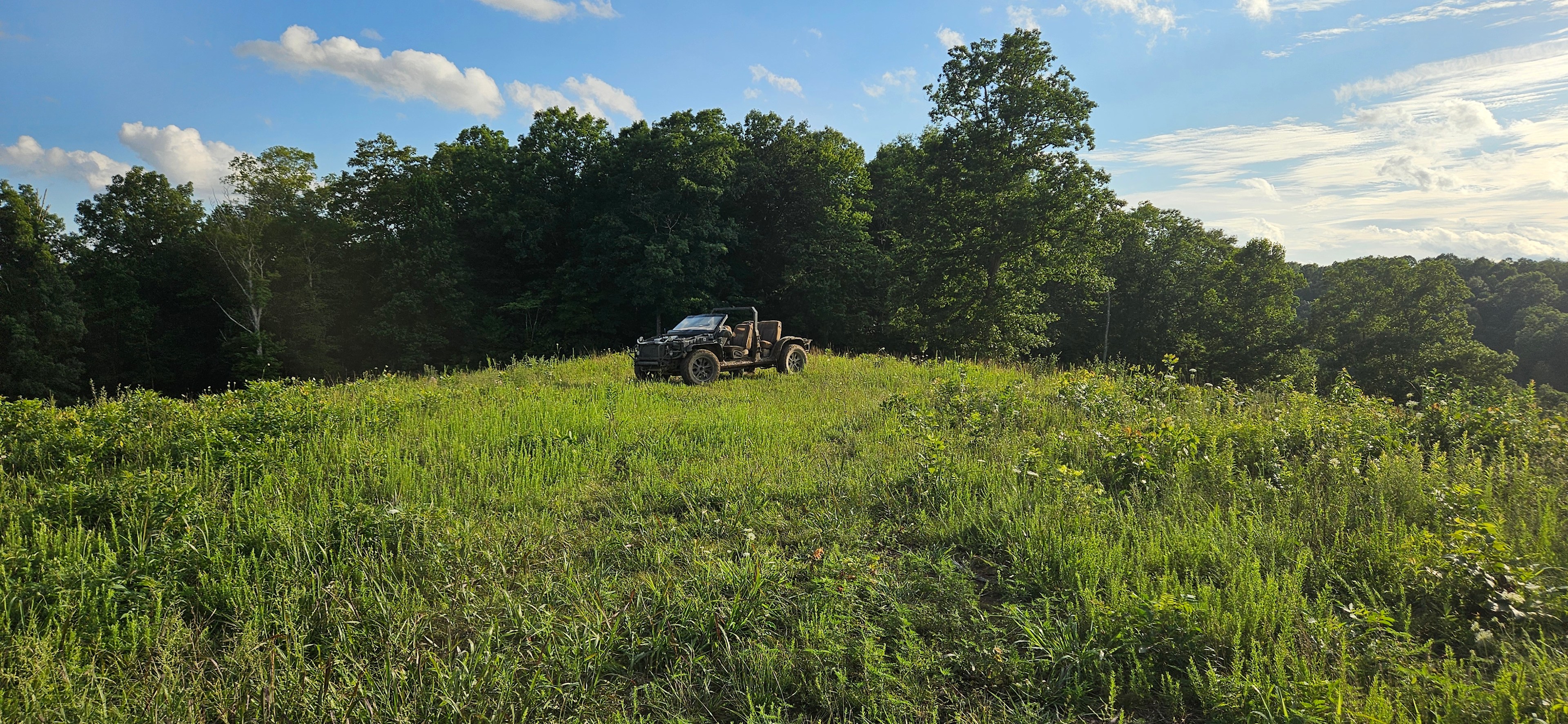 Hillbilly Hippie Haven