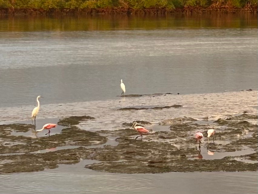 Wraparound Waterfront RV LOT