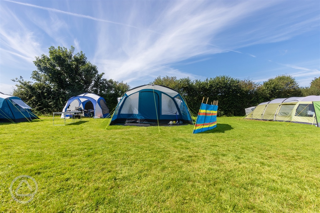 Court Farm Campsite