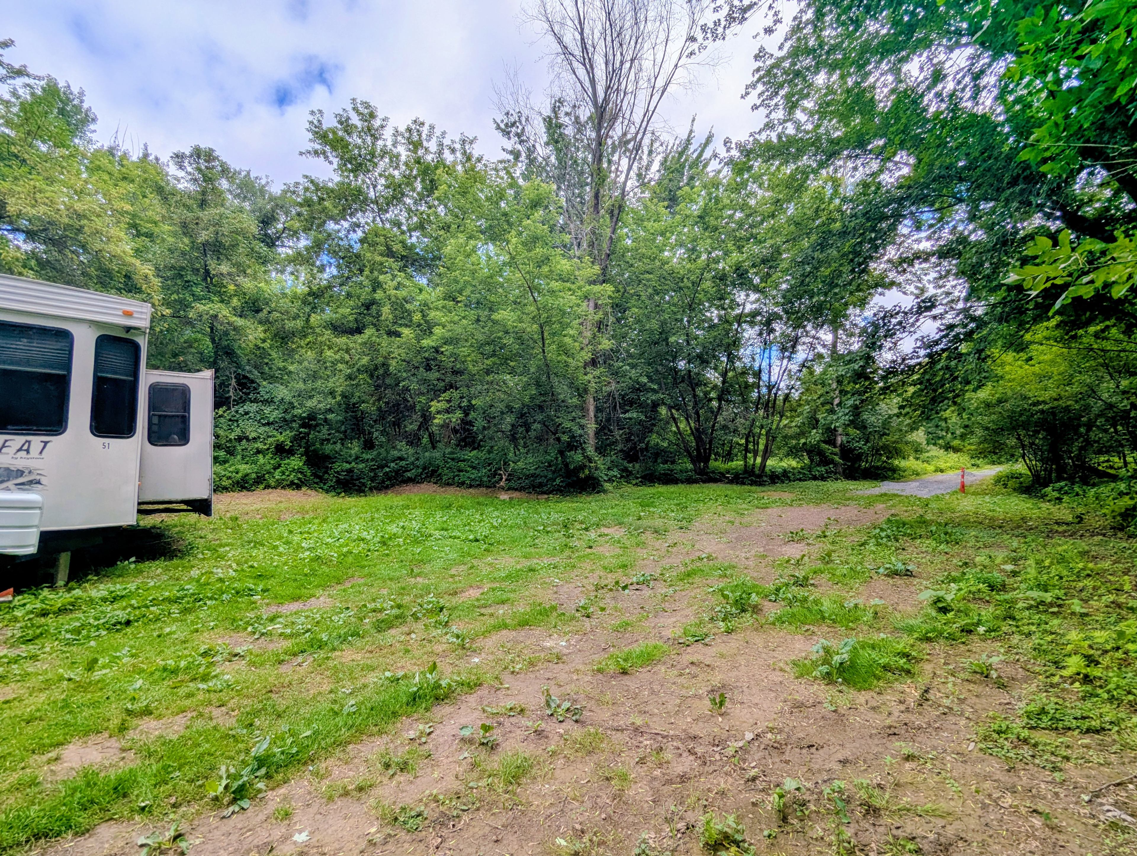 Fern Gully Camping