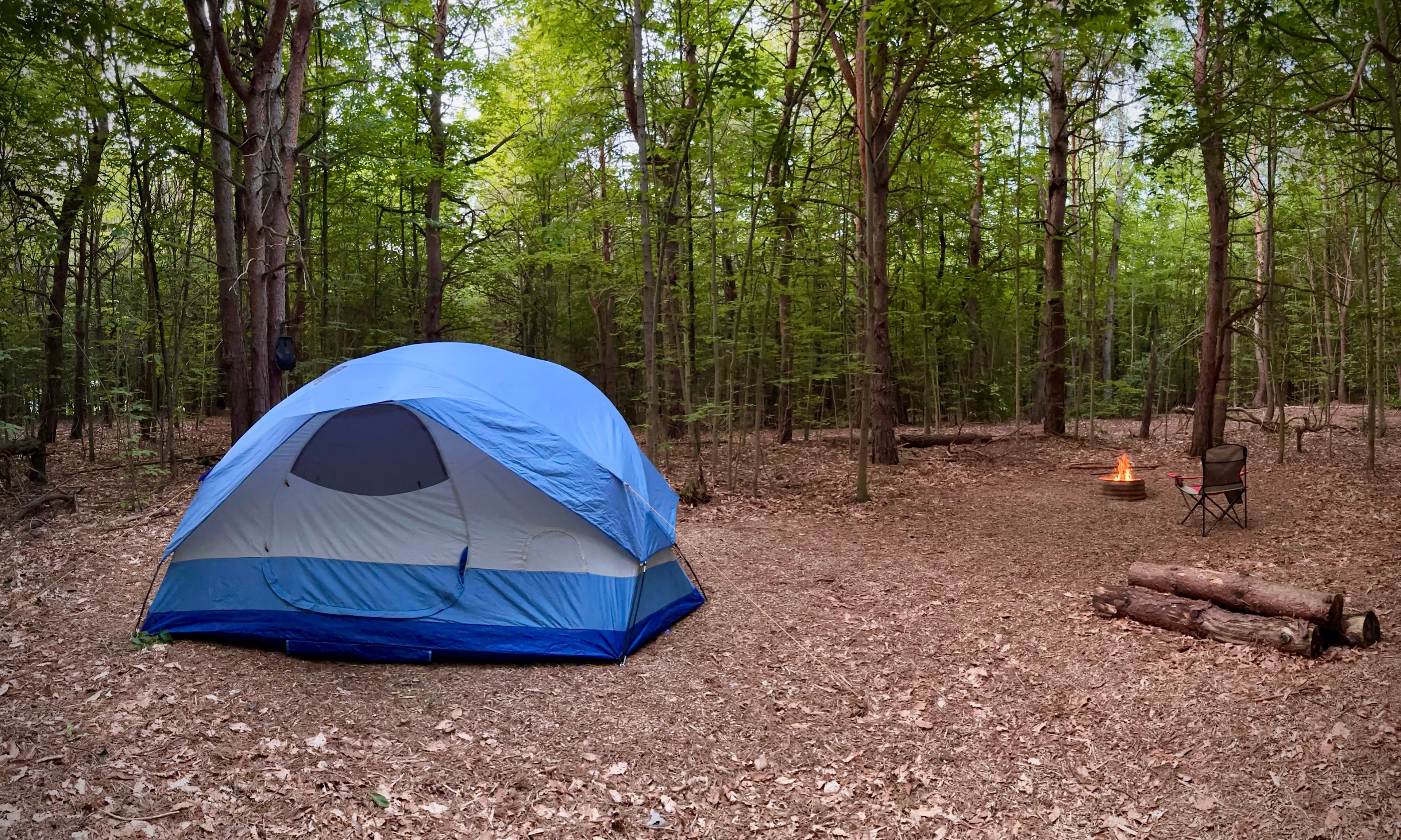 Campsite and fire pit. 