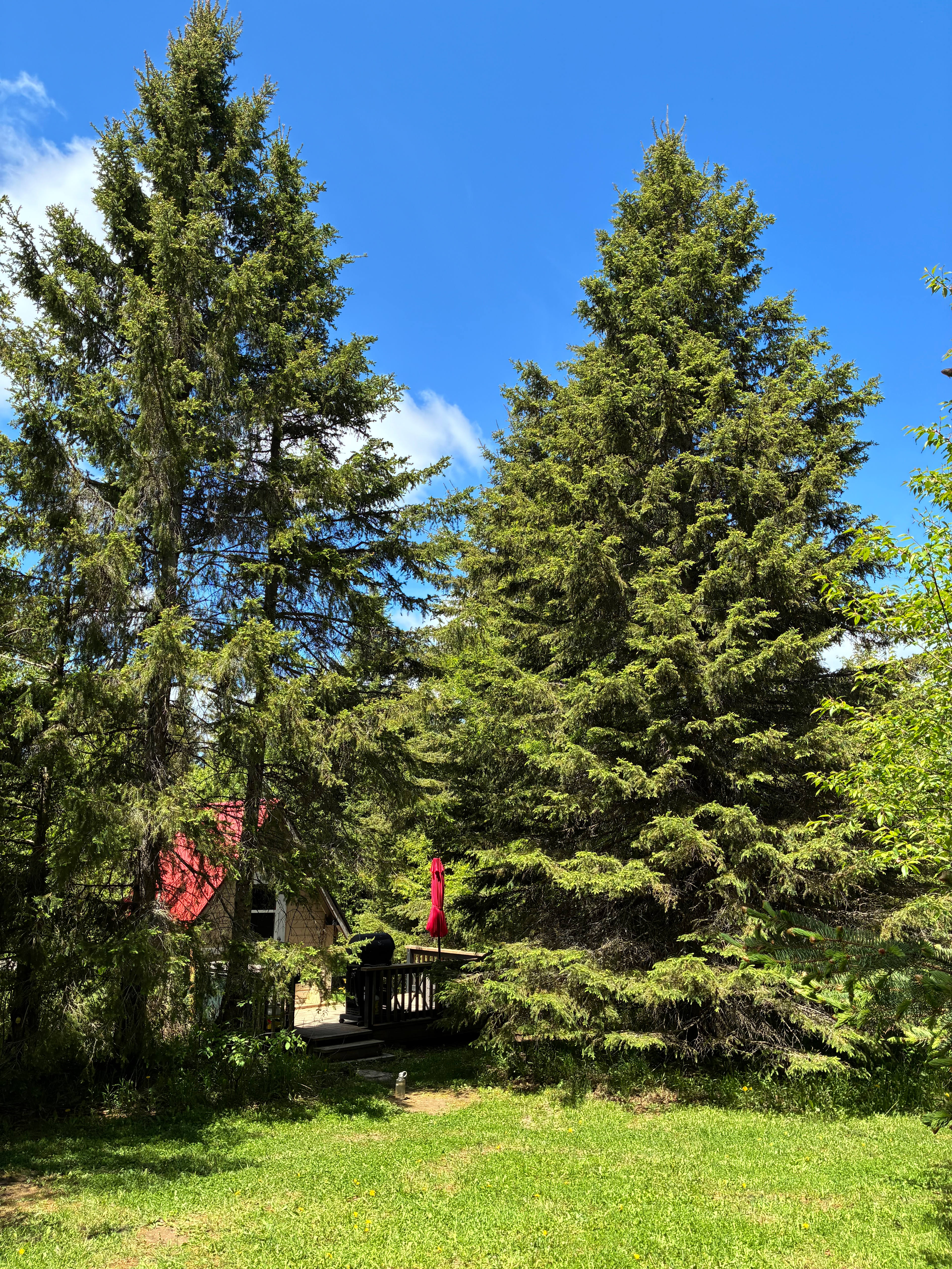 Tiny Off Grid Bunkie