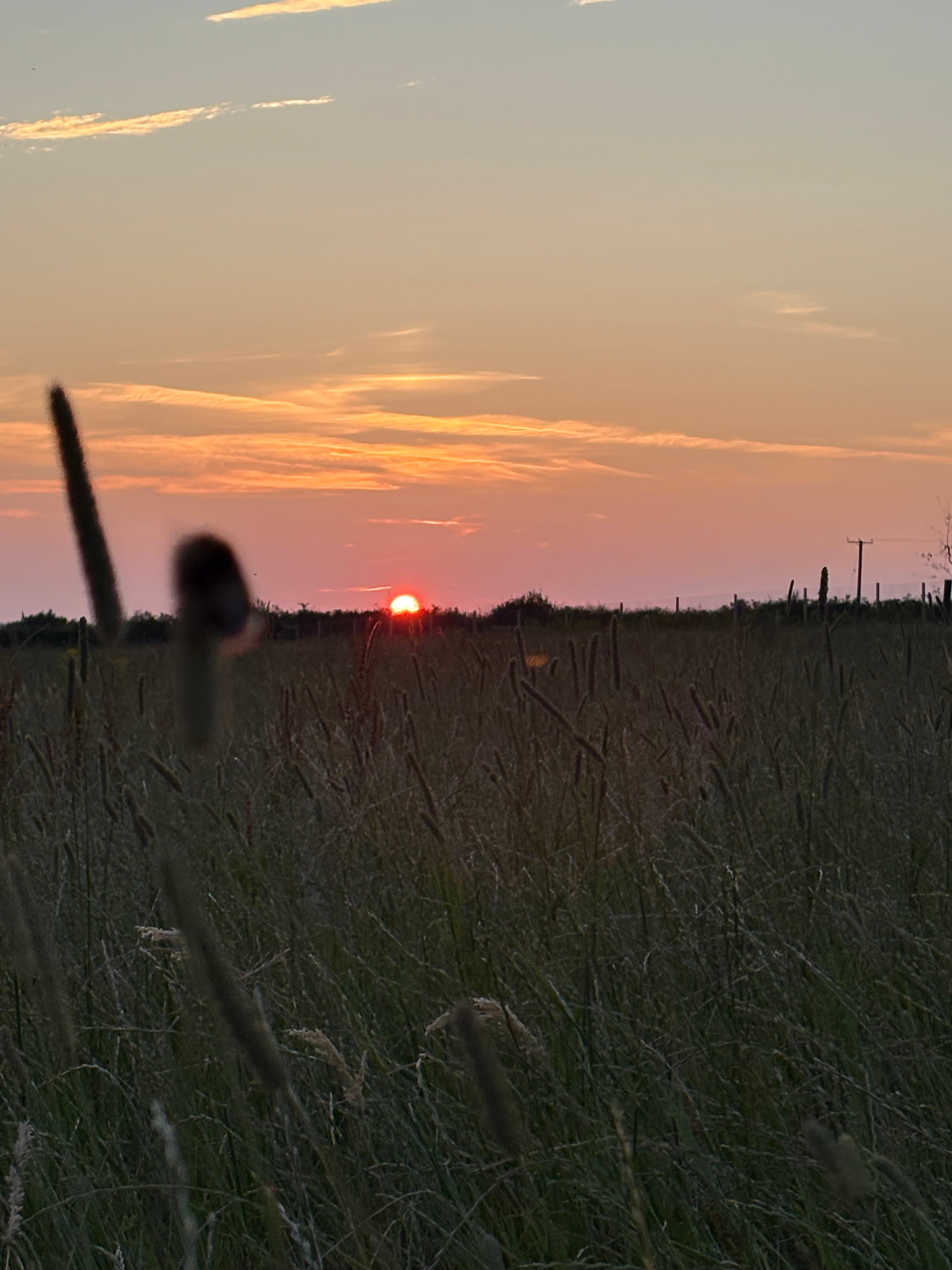 Adaura Meadows Campsite