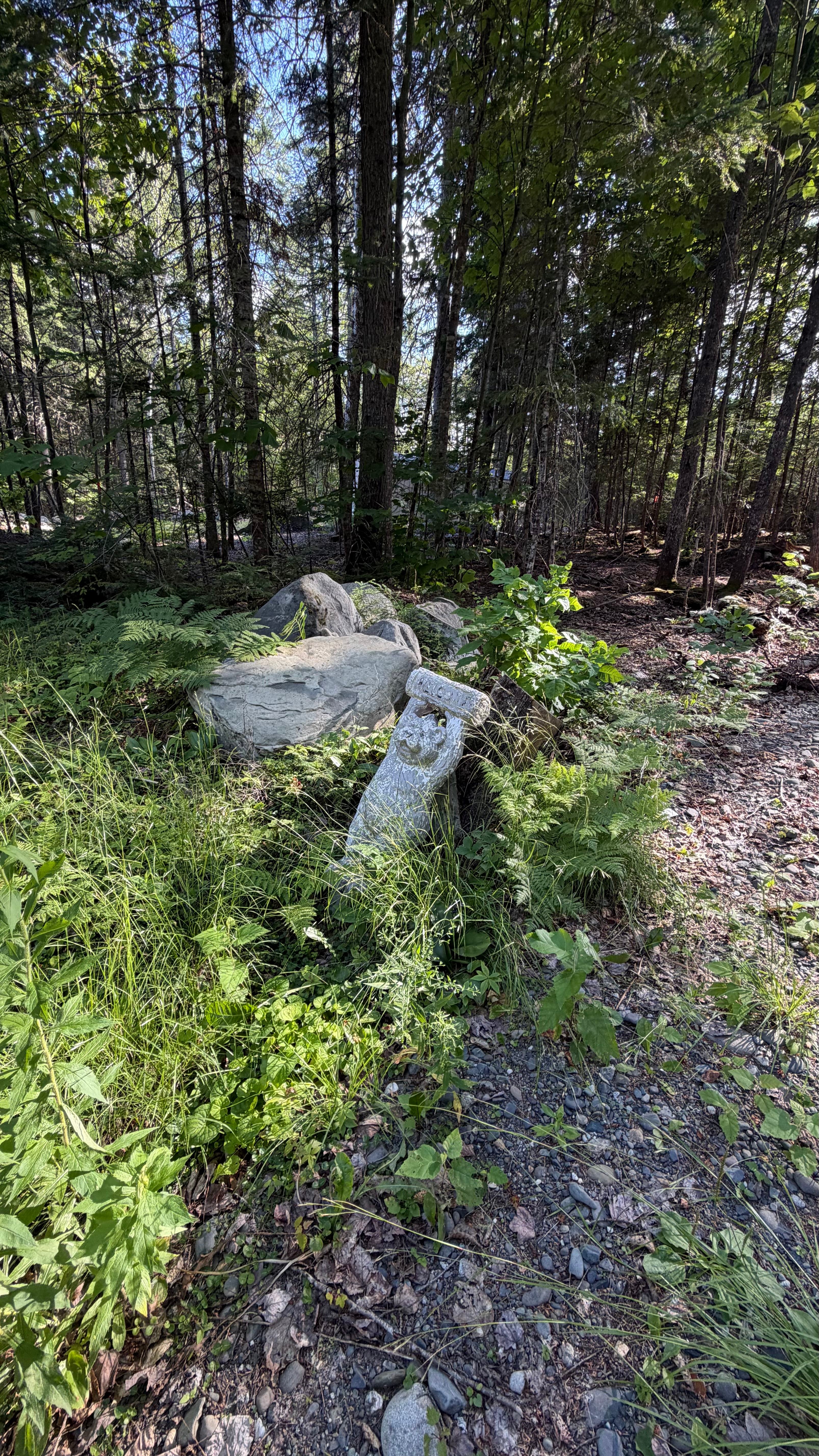 Wooded tent/RV site near Lake