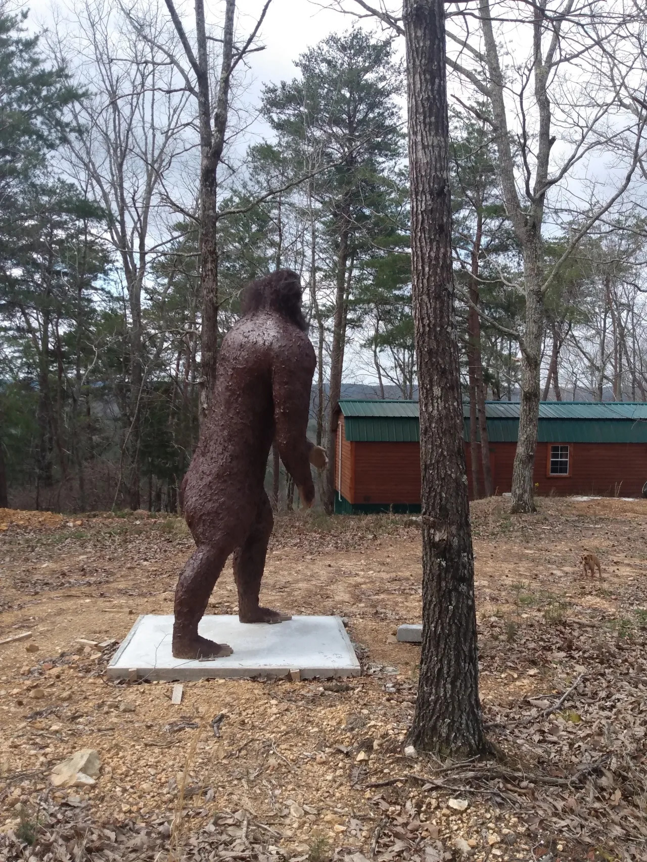 Pine Bluff RV Campground