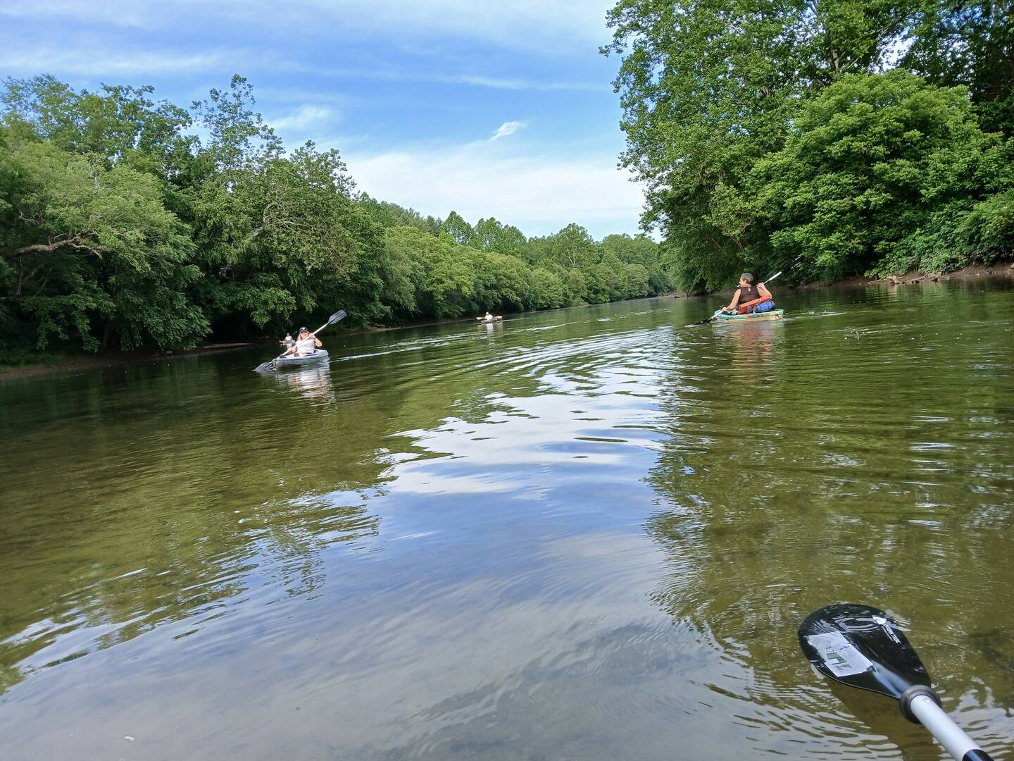 Gauley River Campground