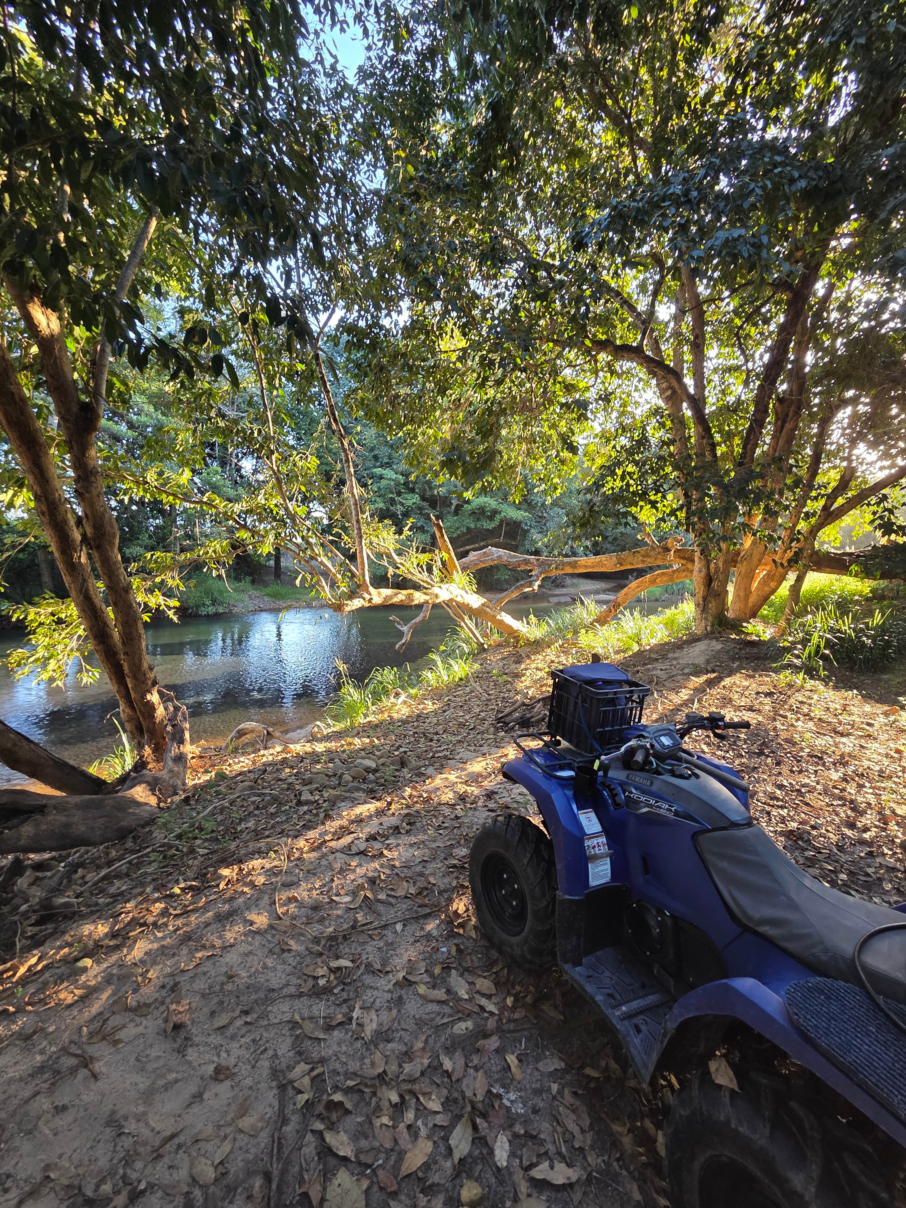 Relax by the creek and have a picnic or a fish 🎣 