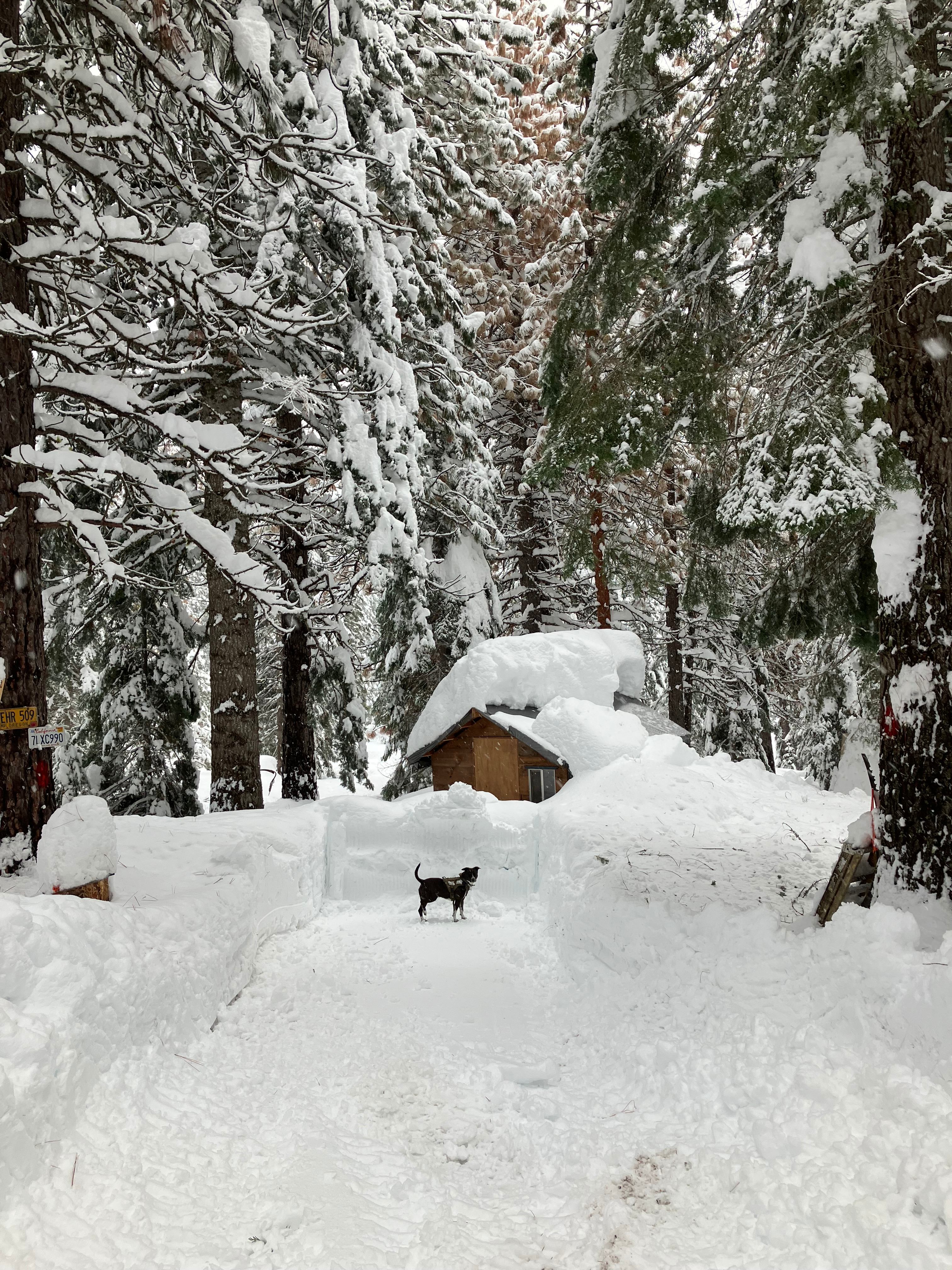 Clear Creek Mountaineer camp