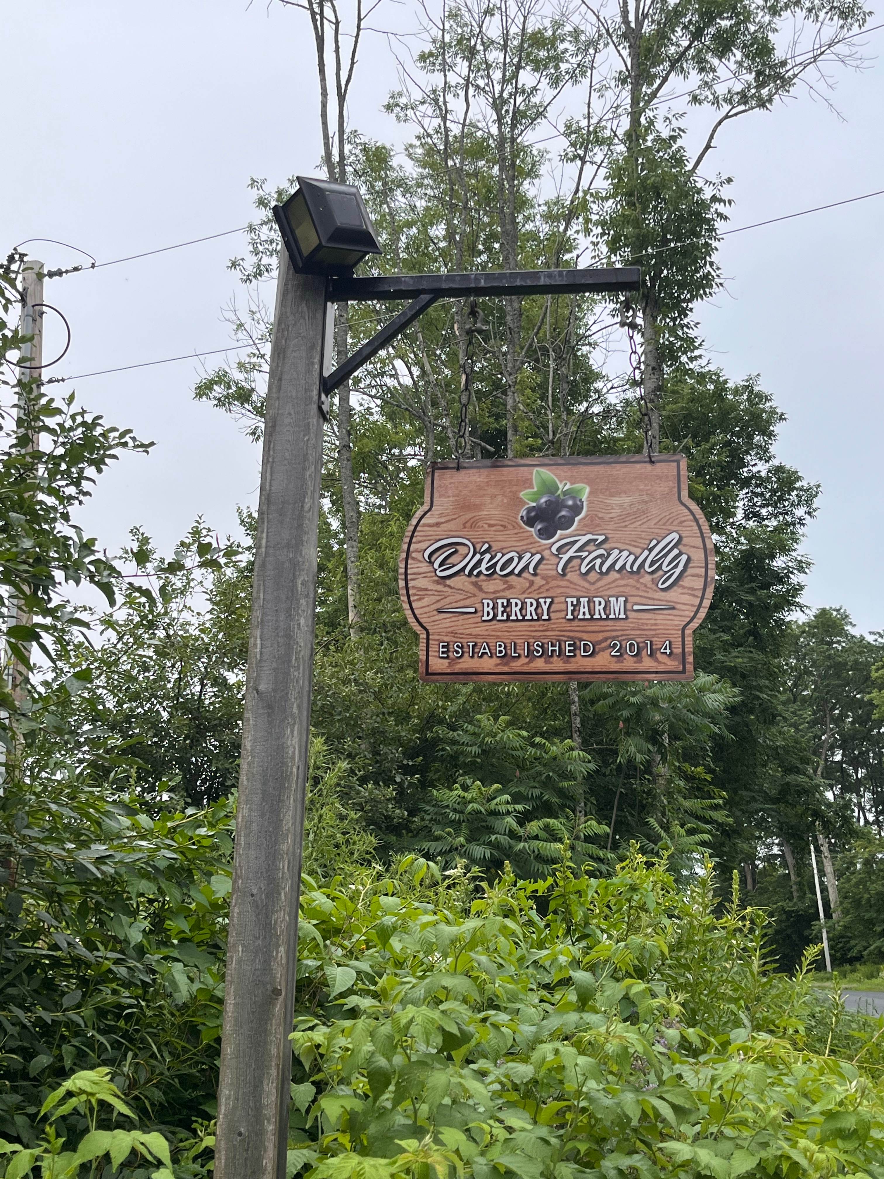 Owls Corner Cabin
