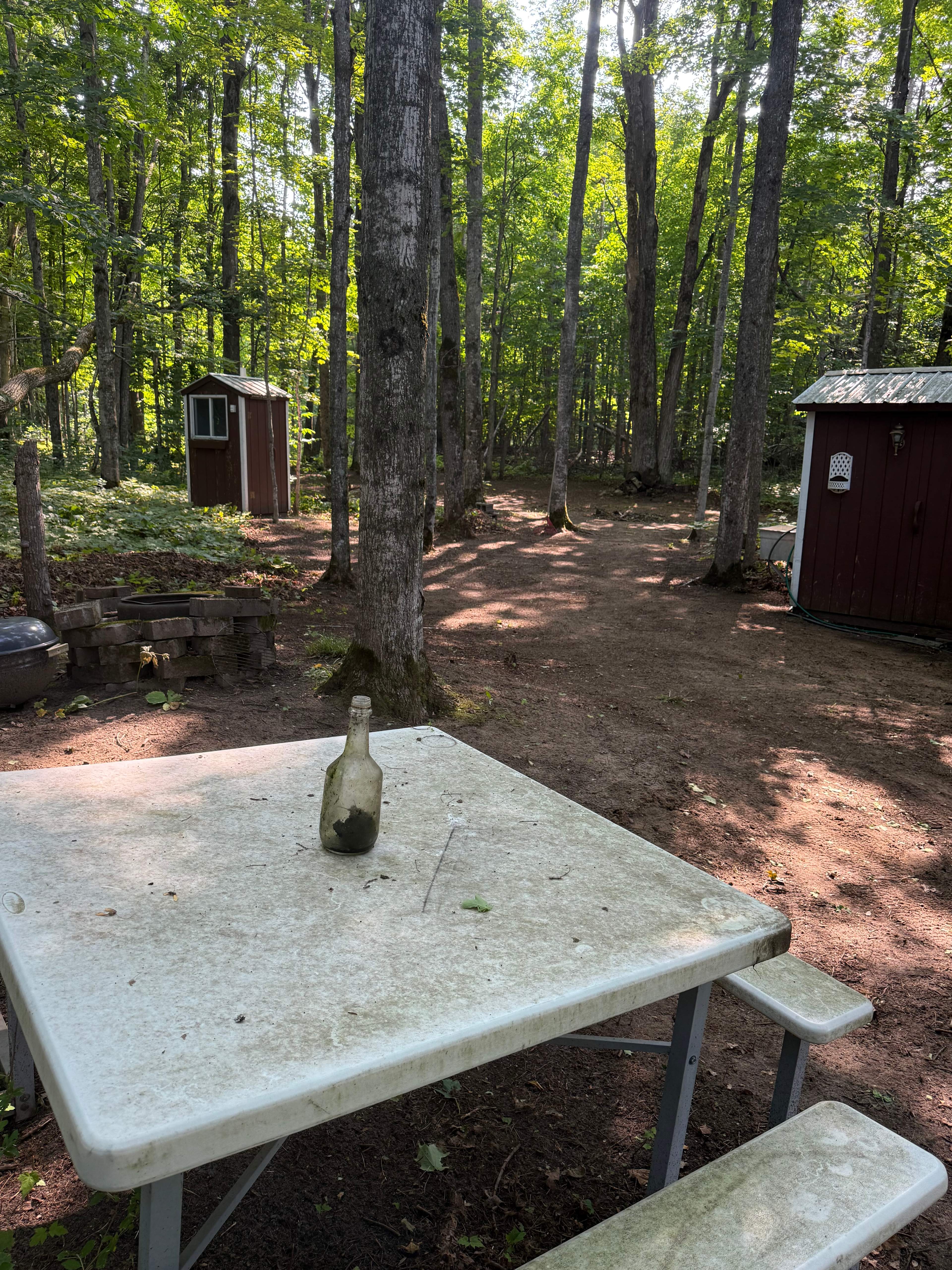 Wild Woods