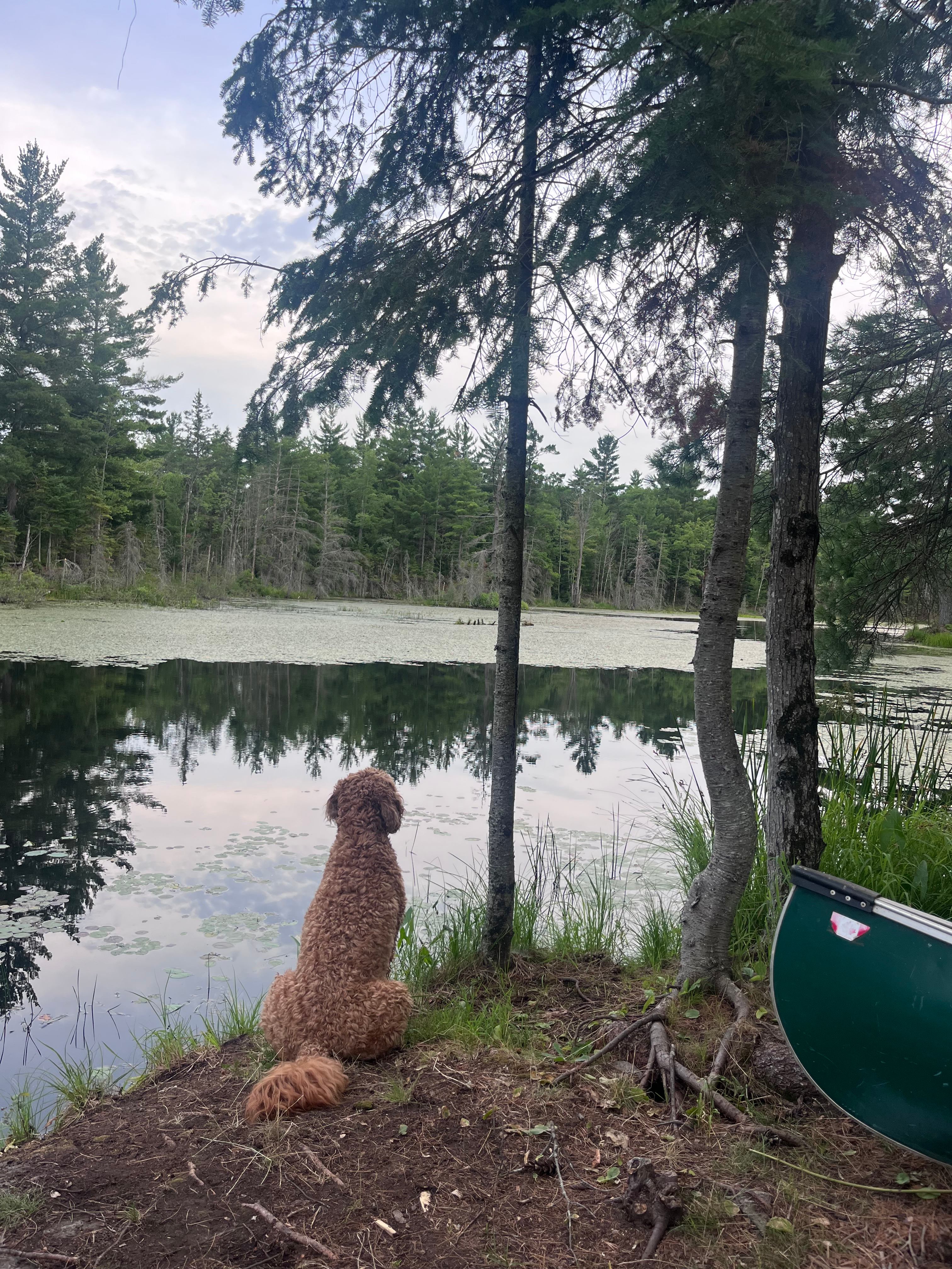 Hemlock Point Campground