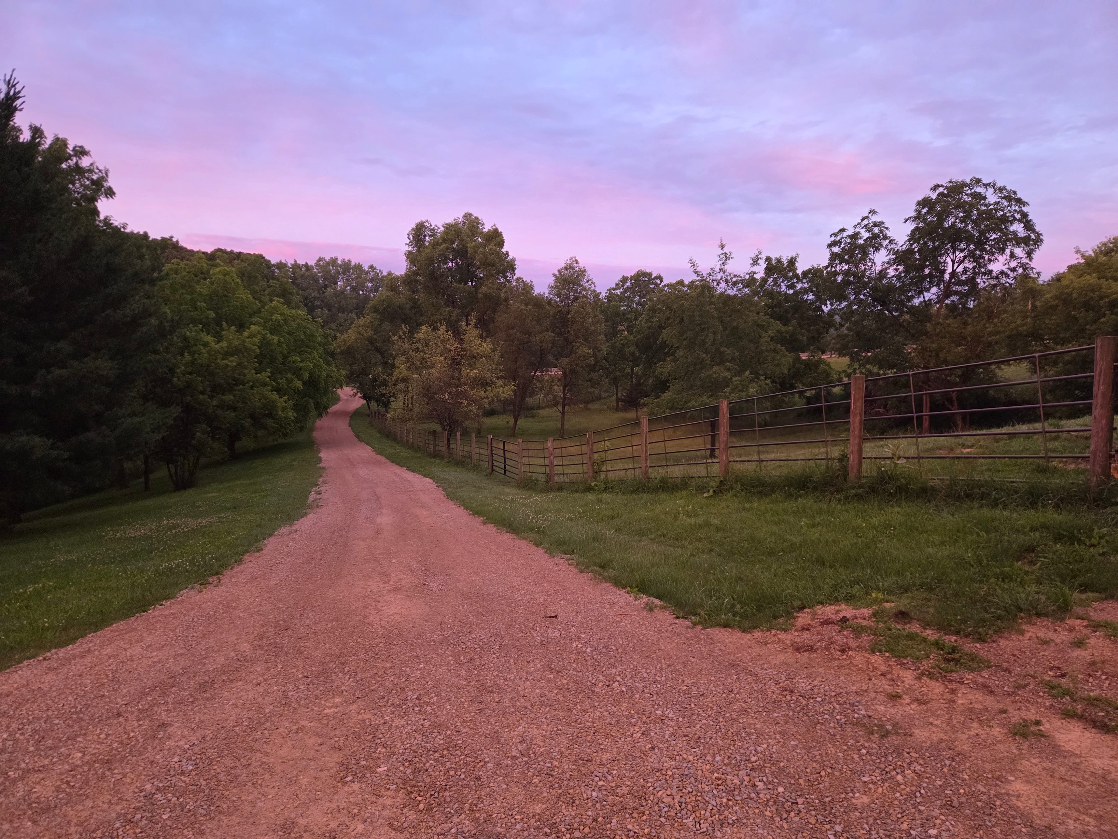 Springer Farm