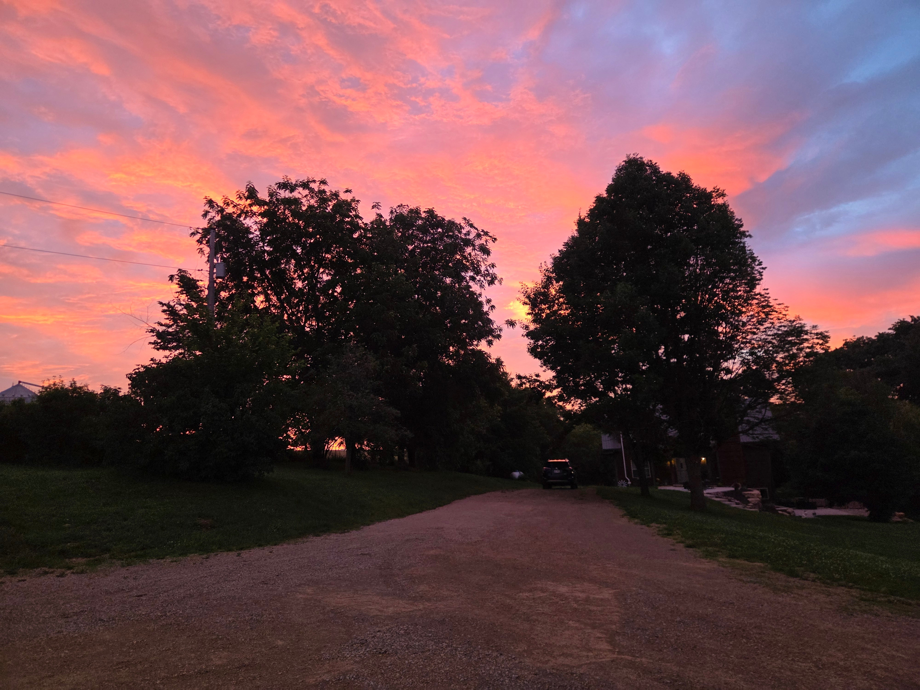 Springer Farm