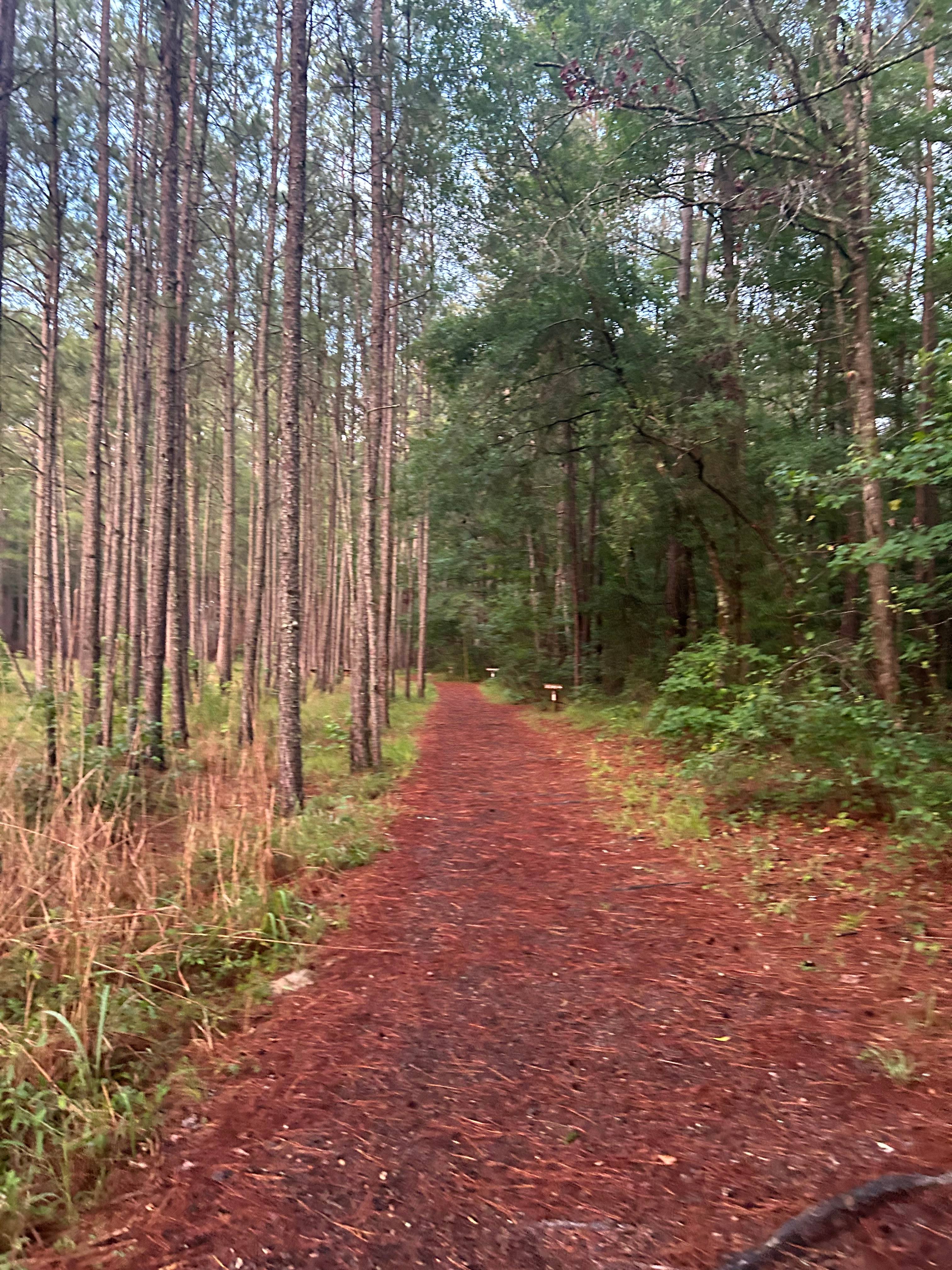 Congaree National Park