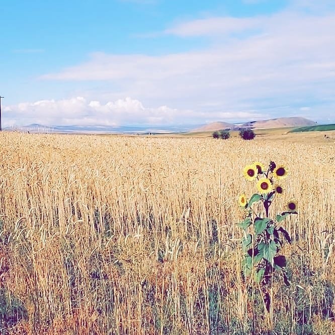 Quiet Prairie RV Escape