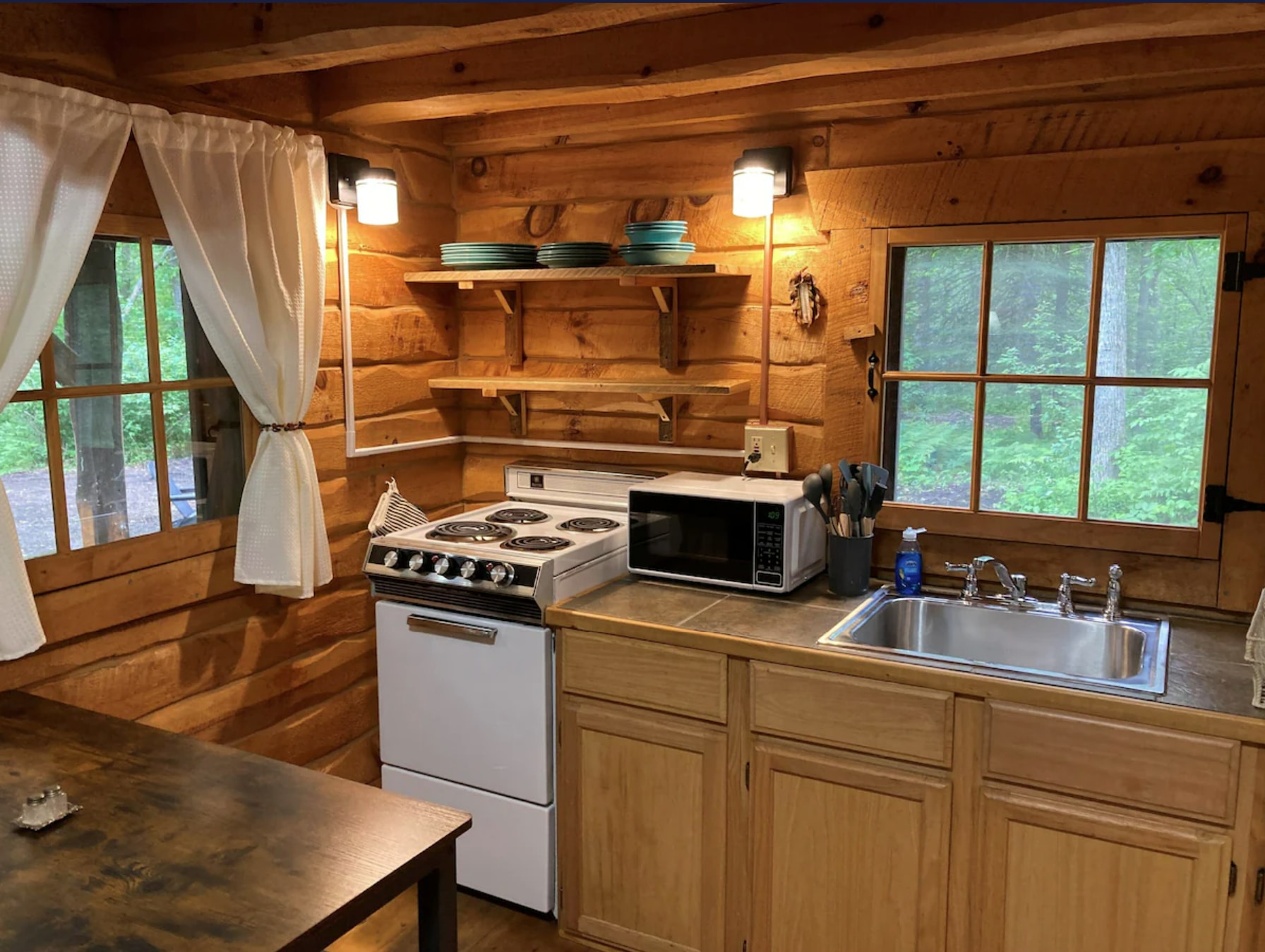 Cabin on Shipman Lake