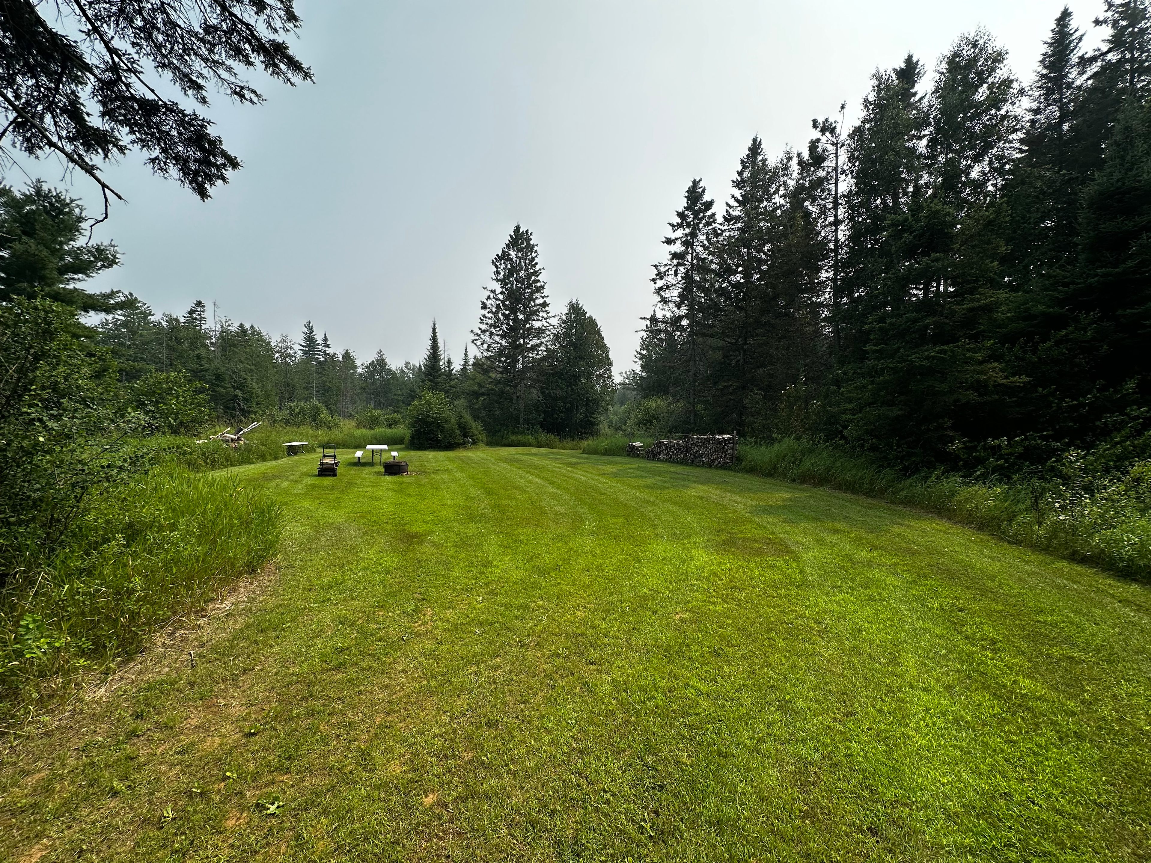 Wagner’s Whispering Cedars