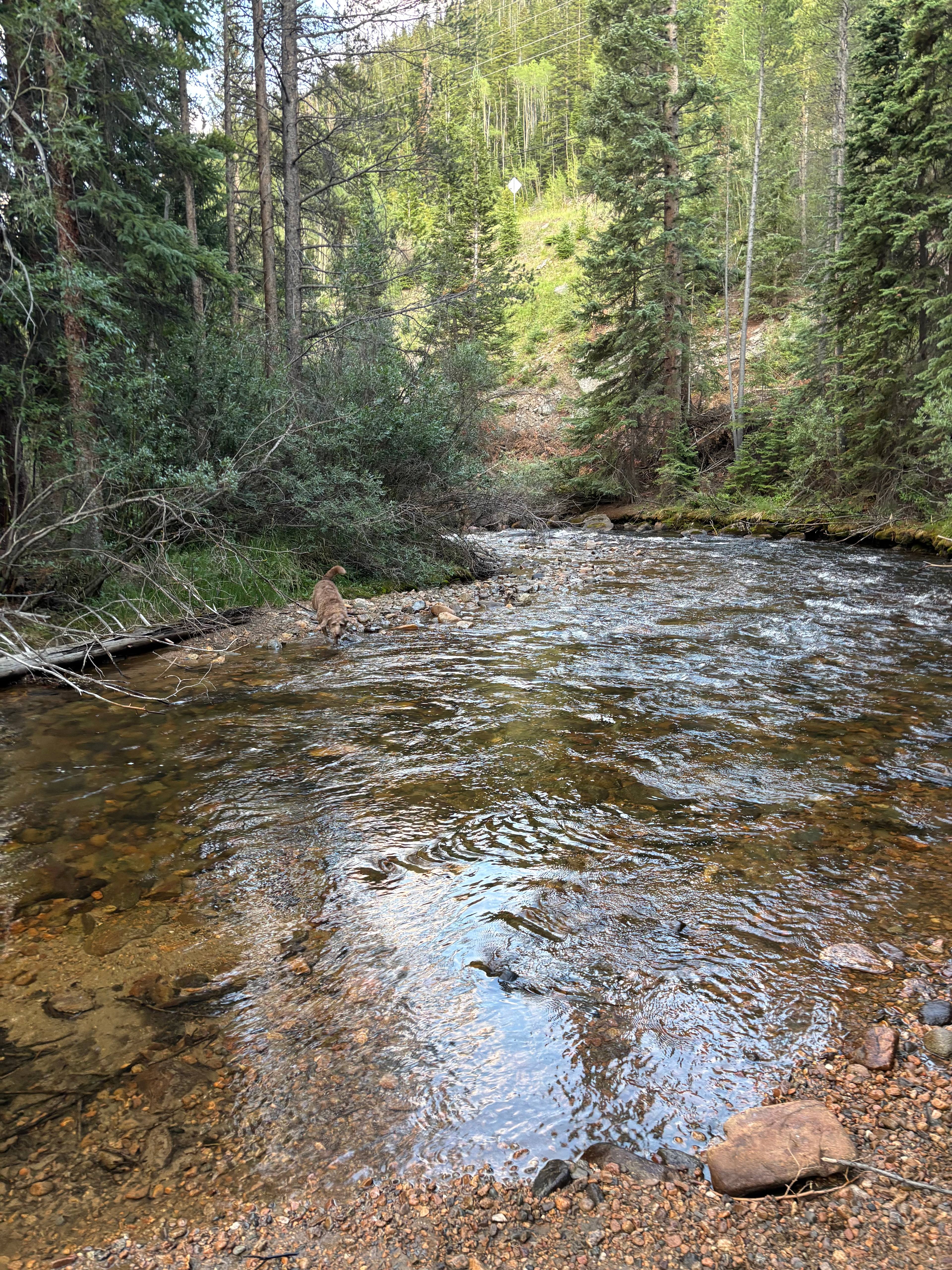 Creekside Camping