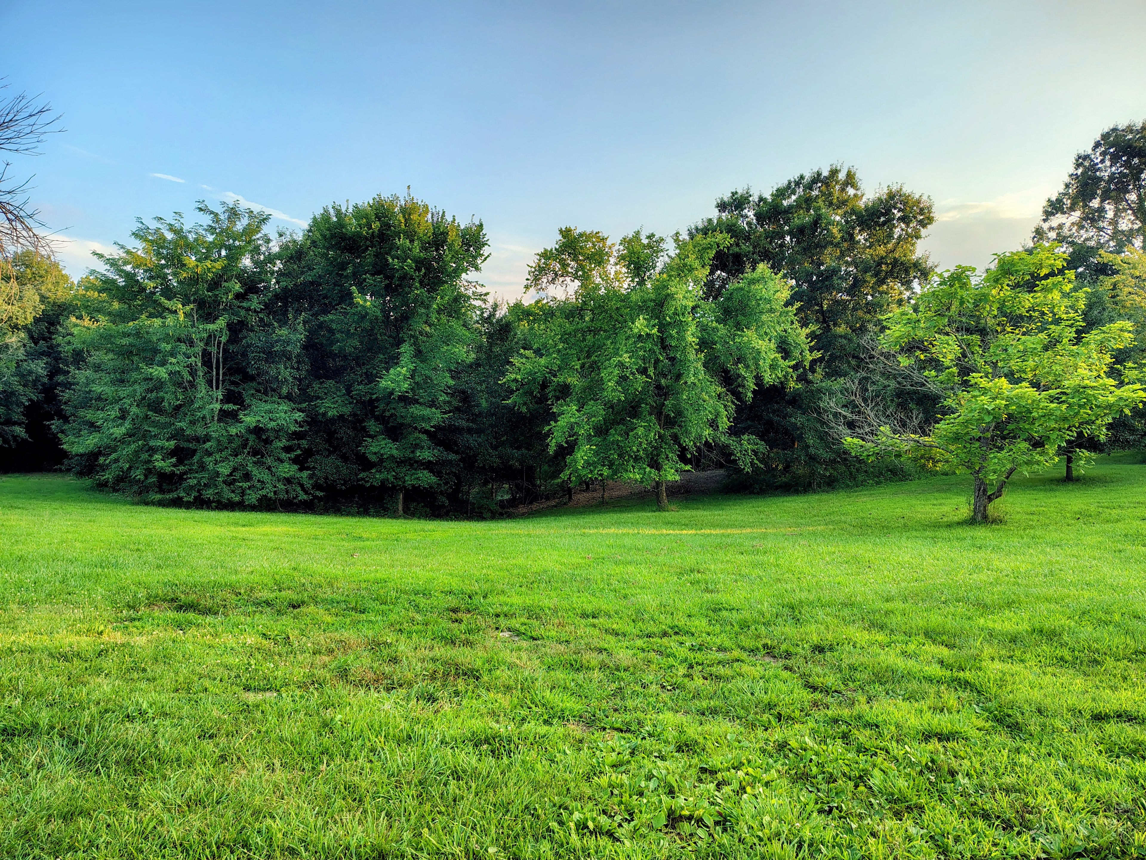 The Quiet Acre