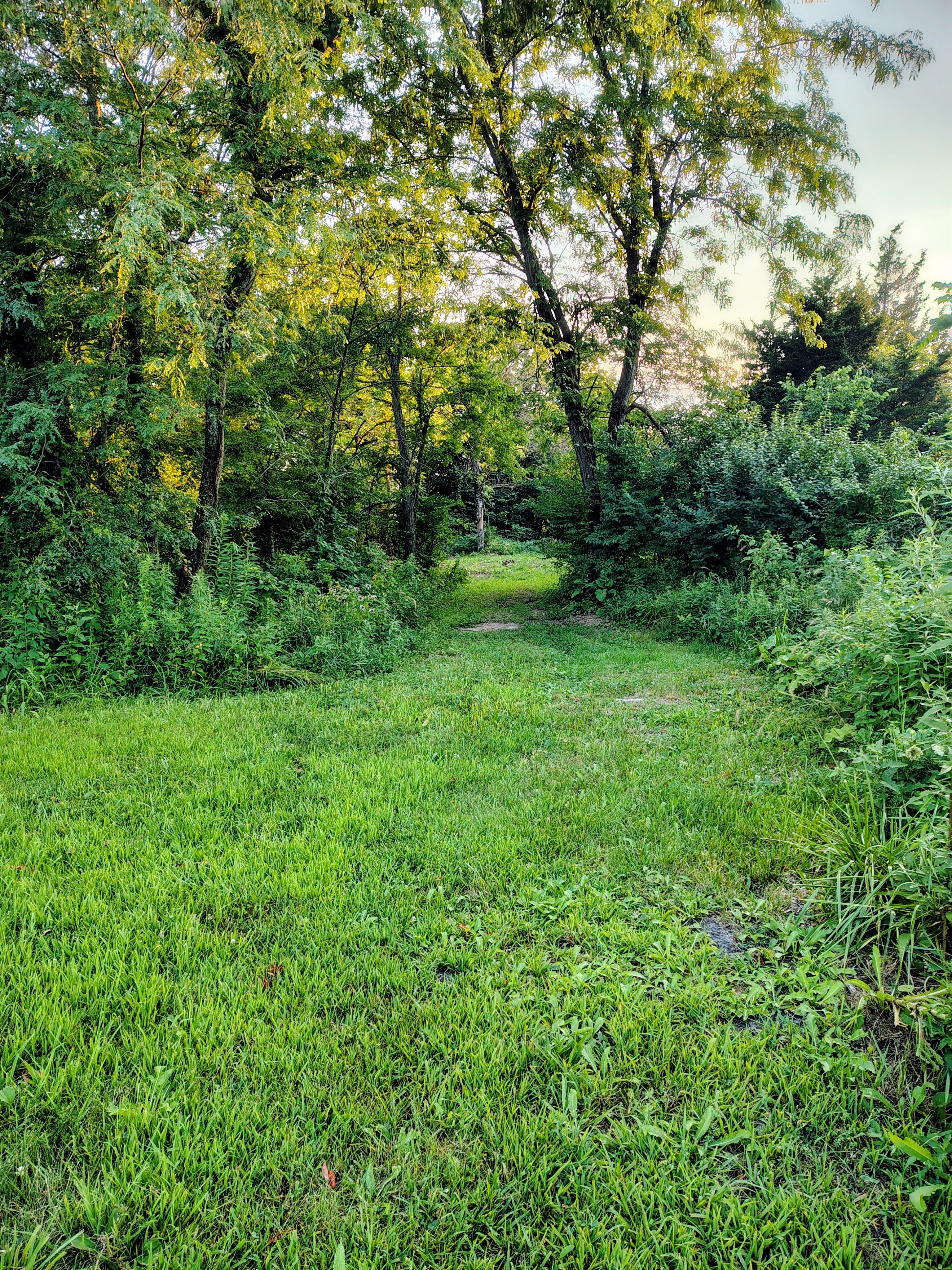 The Quiet Acre