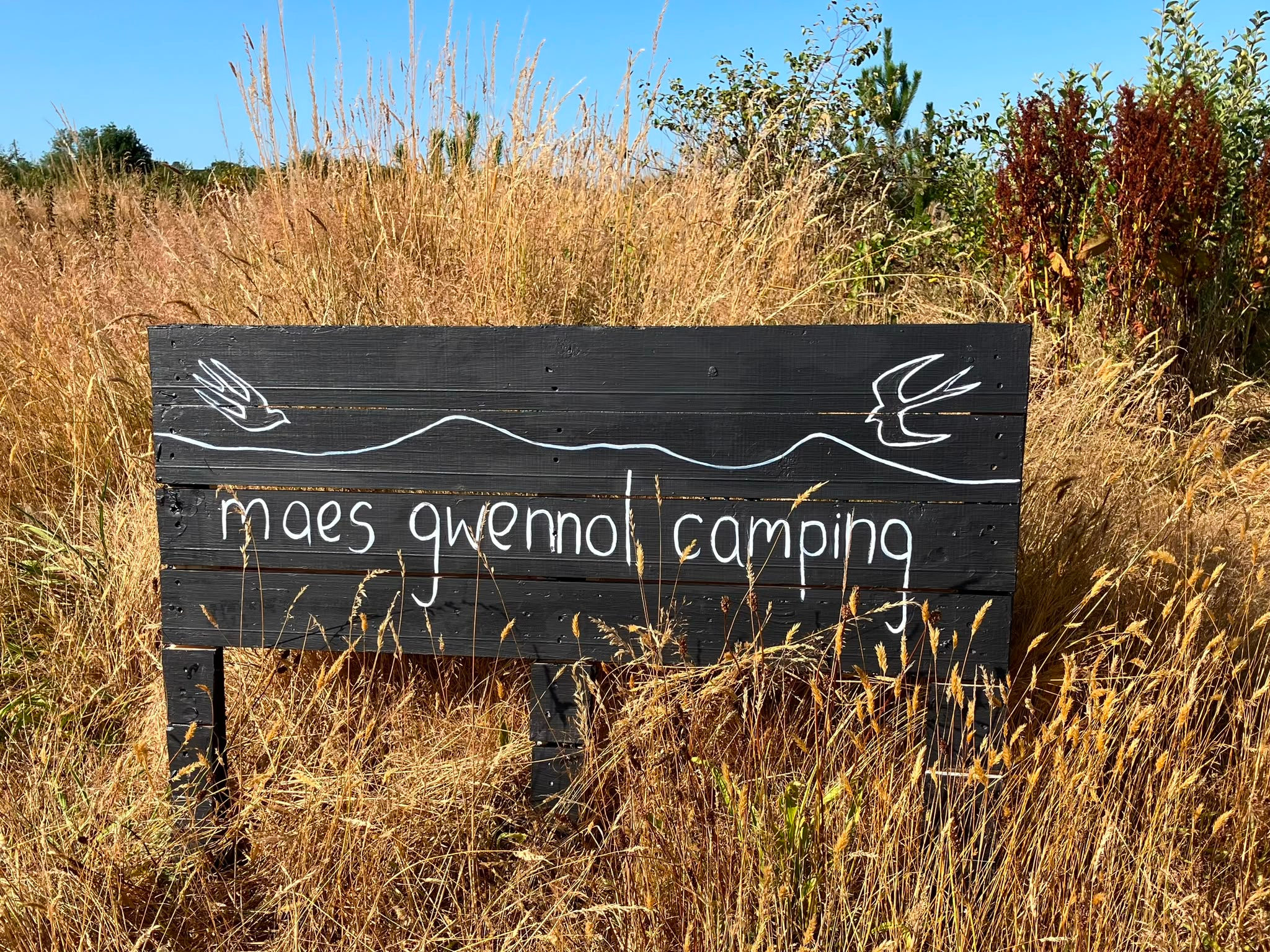 Maes Gwennol Camping