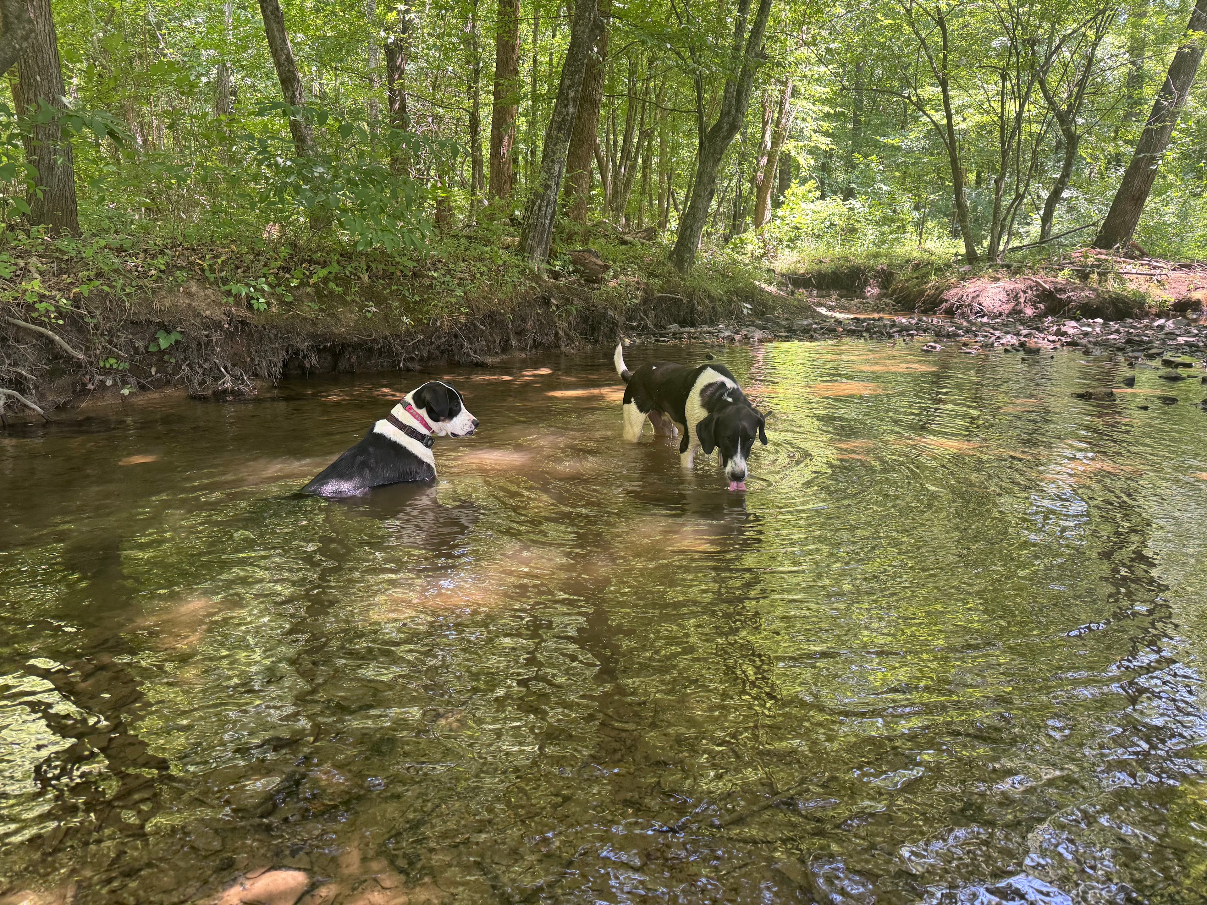 The Farm at Long Creek