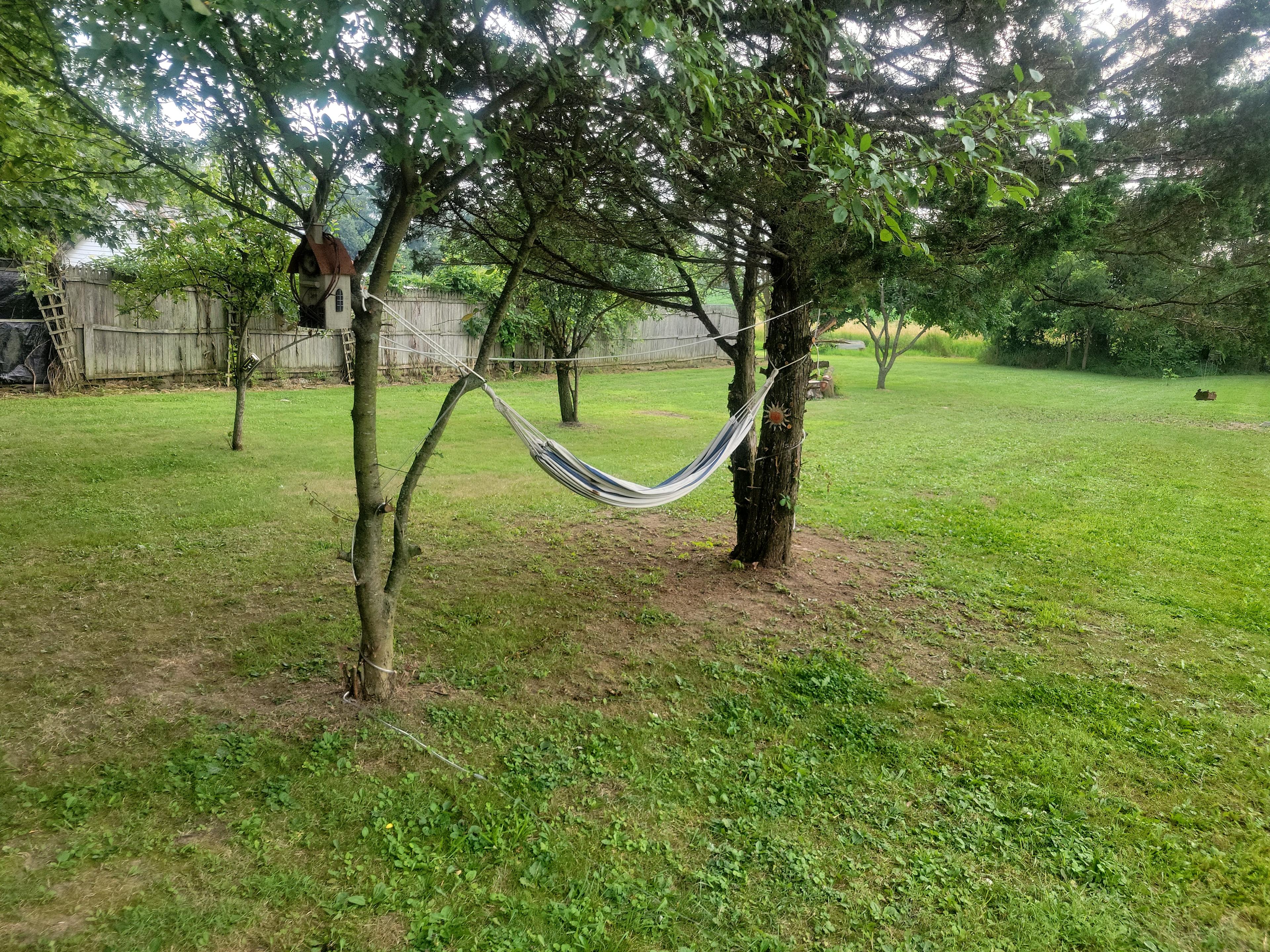 Nature's Calling
