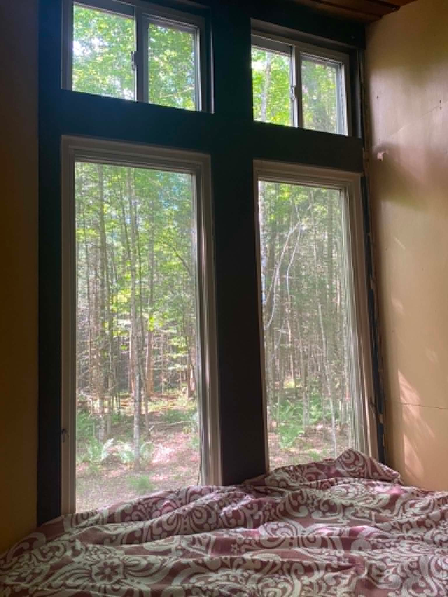 Tiny Owl View