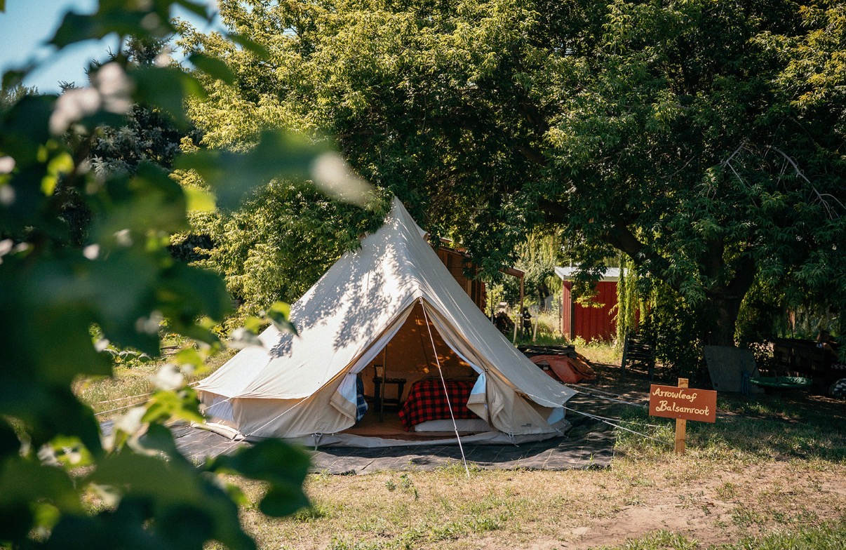 Gypsy Heart Farm Stay