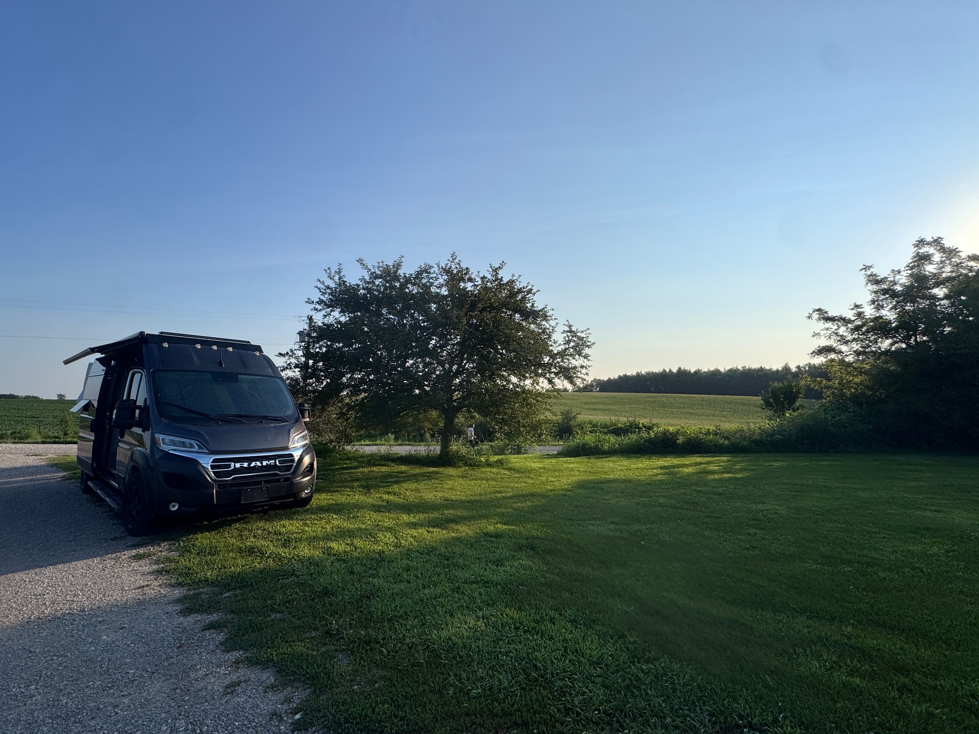 Morning bird songs by the farm fields