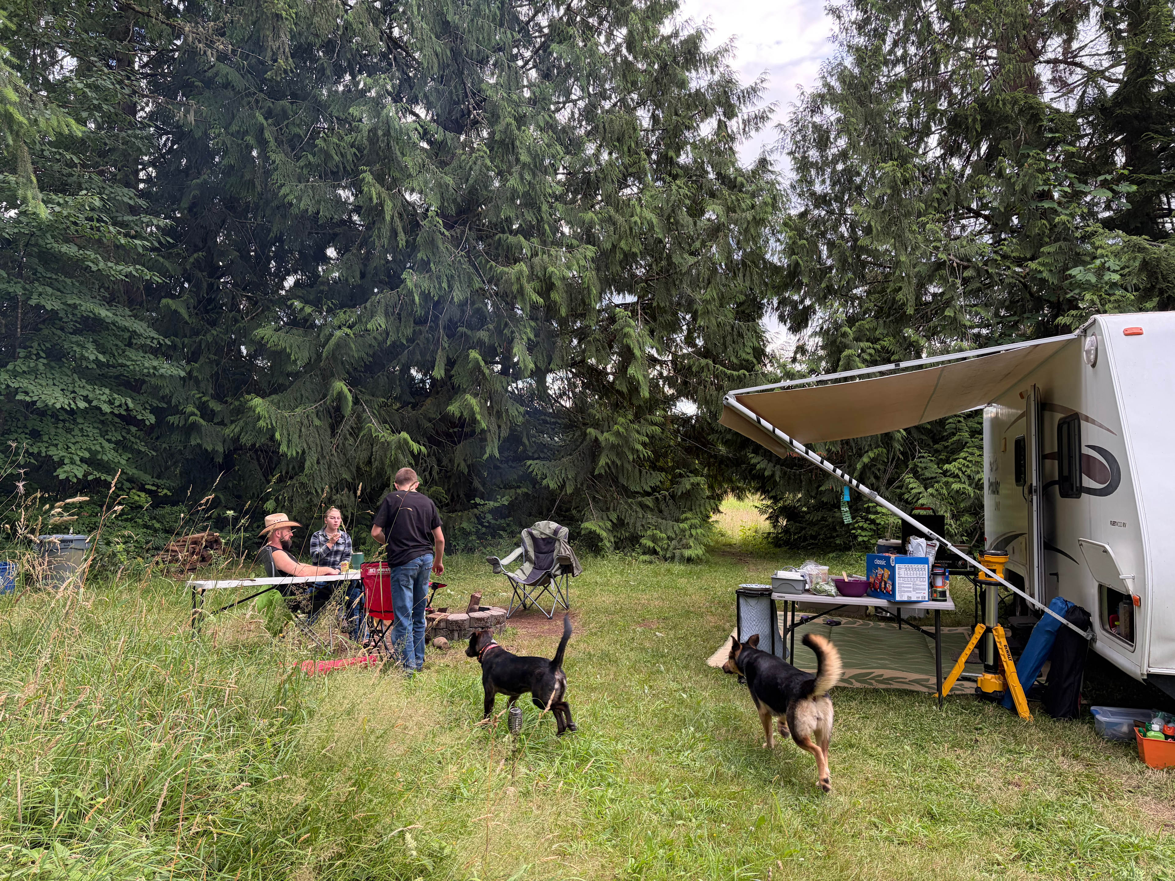 Salmonberry Meadows